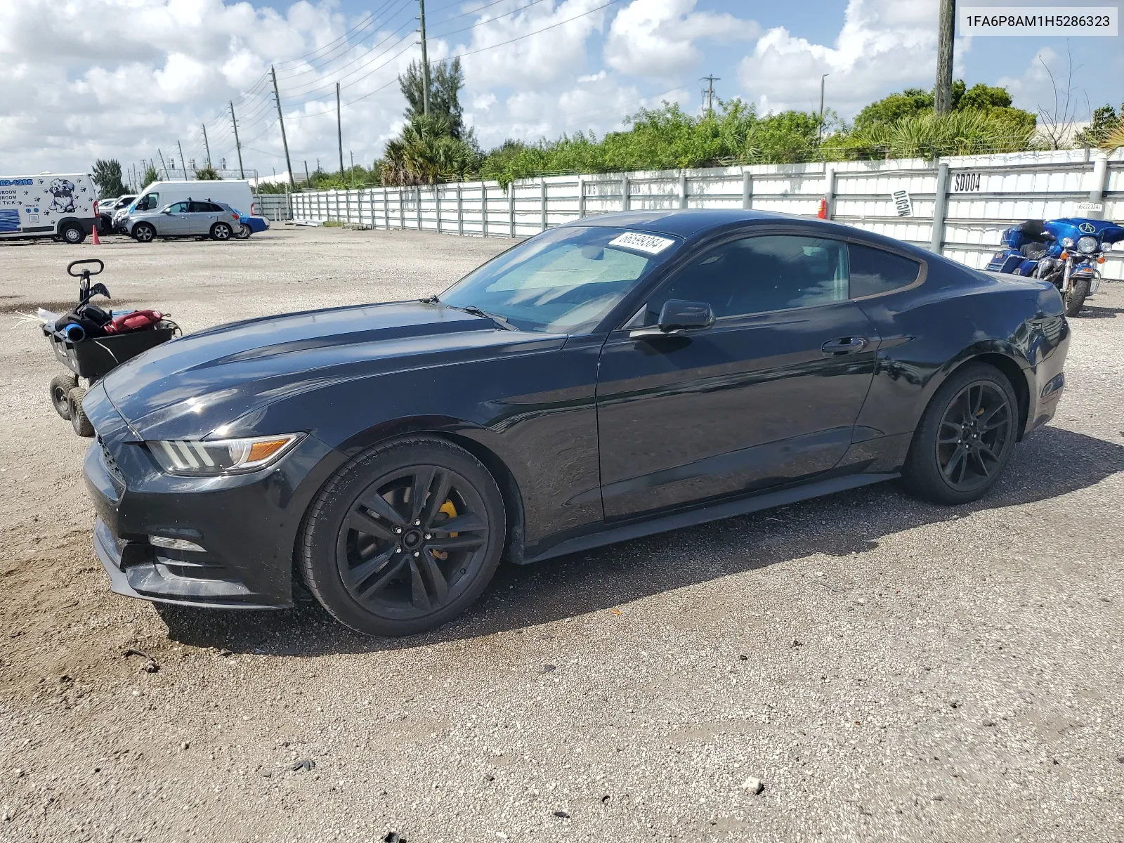 2017 Ford Mustang VIN: 1FA6P8AM1H5286323 Lot: 66599384