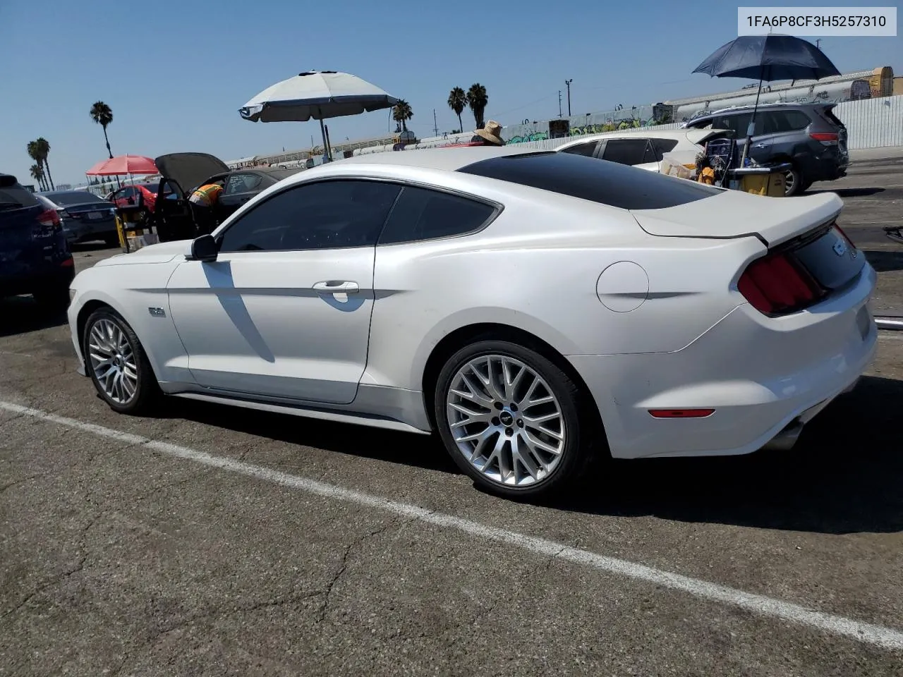 2017 Ford Mustang Gt VIN: 1FA6P8CF3H5257310 Lot: 66949914