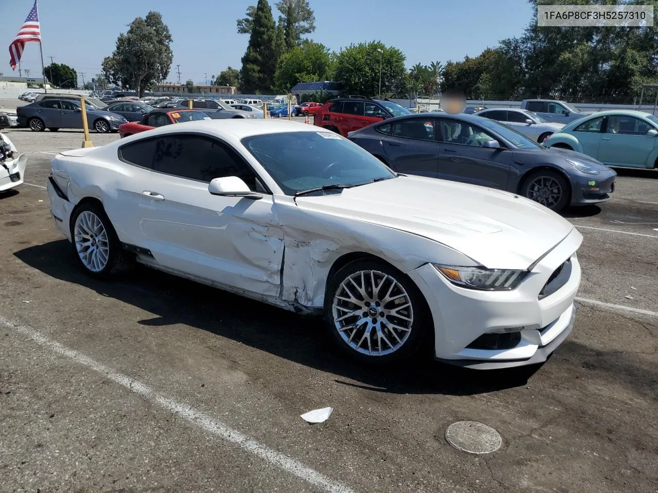 2017 Ford Mustang Gt VIN: 1FA6P8CF3H5257310 Lot: 66949914