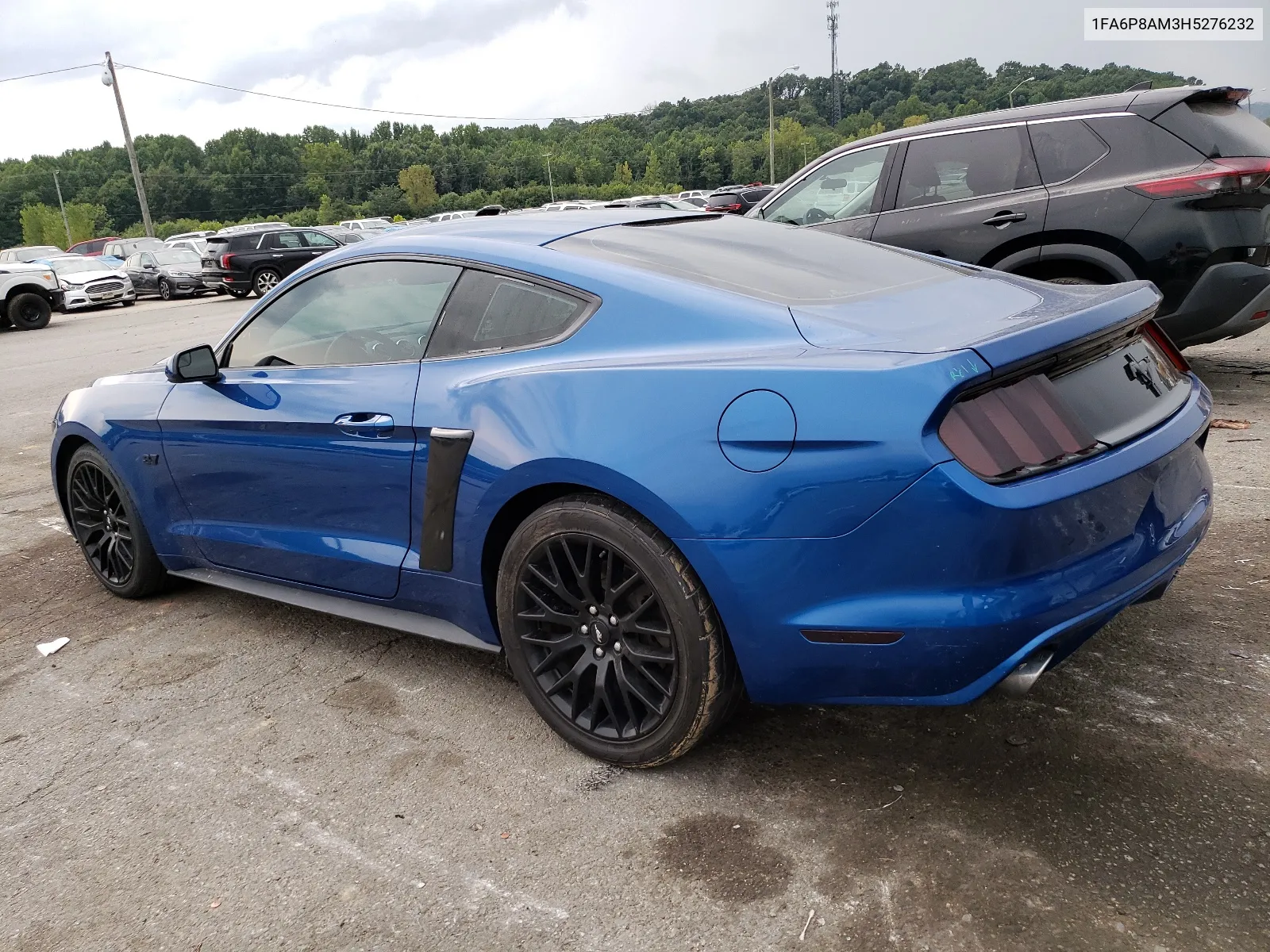 2017 Ford Mustang VIN: 1FA6P8AM3H5276232 Lot: 67343554