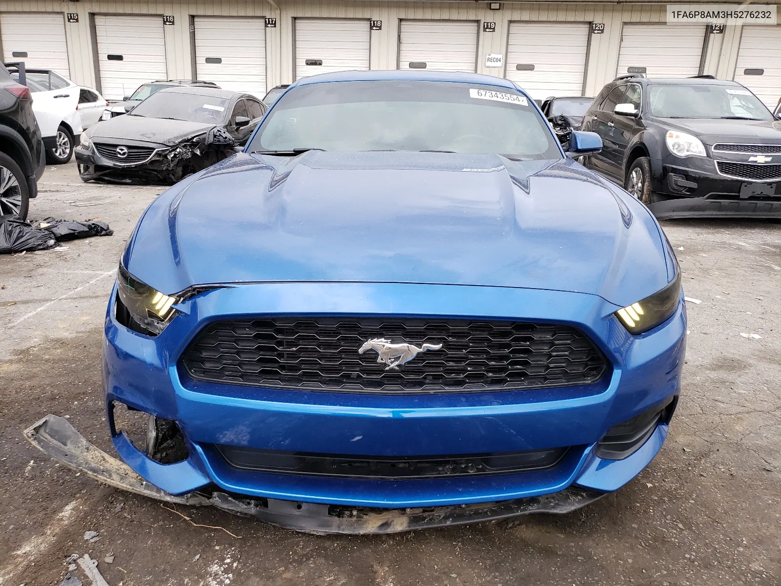 2017 Ford Mustang VIN: 1FA6P8AM3H5276232 Lot: 67343554