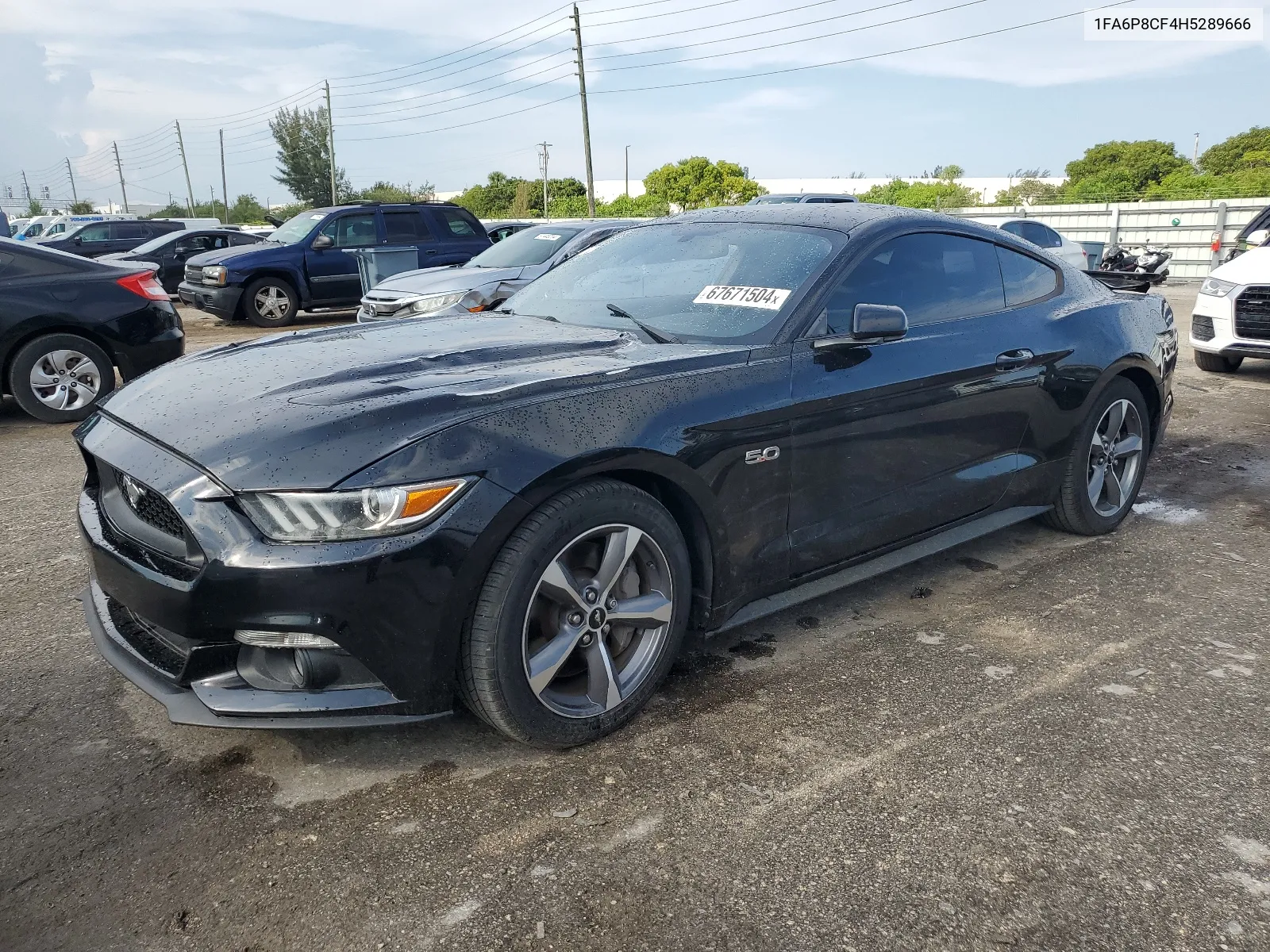 2017 Ford Mustang Gt VIN: 1FA6P8CF4H5289666 Lot: 67671504