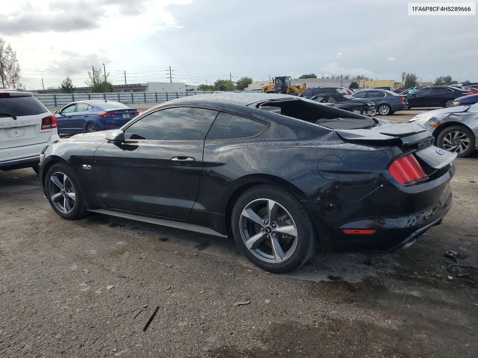 2017 Ford Mustang Gt VIN: 1FA6P8CF4H5289666 Lot: 67671504