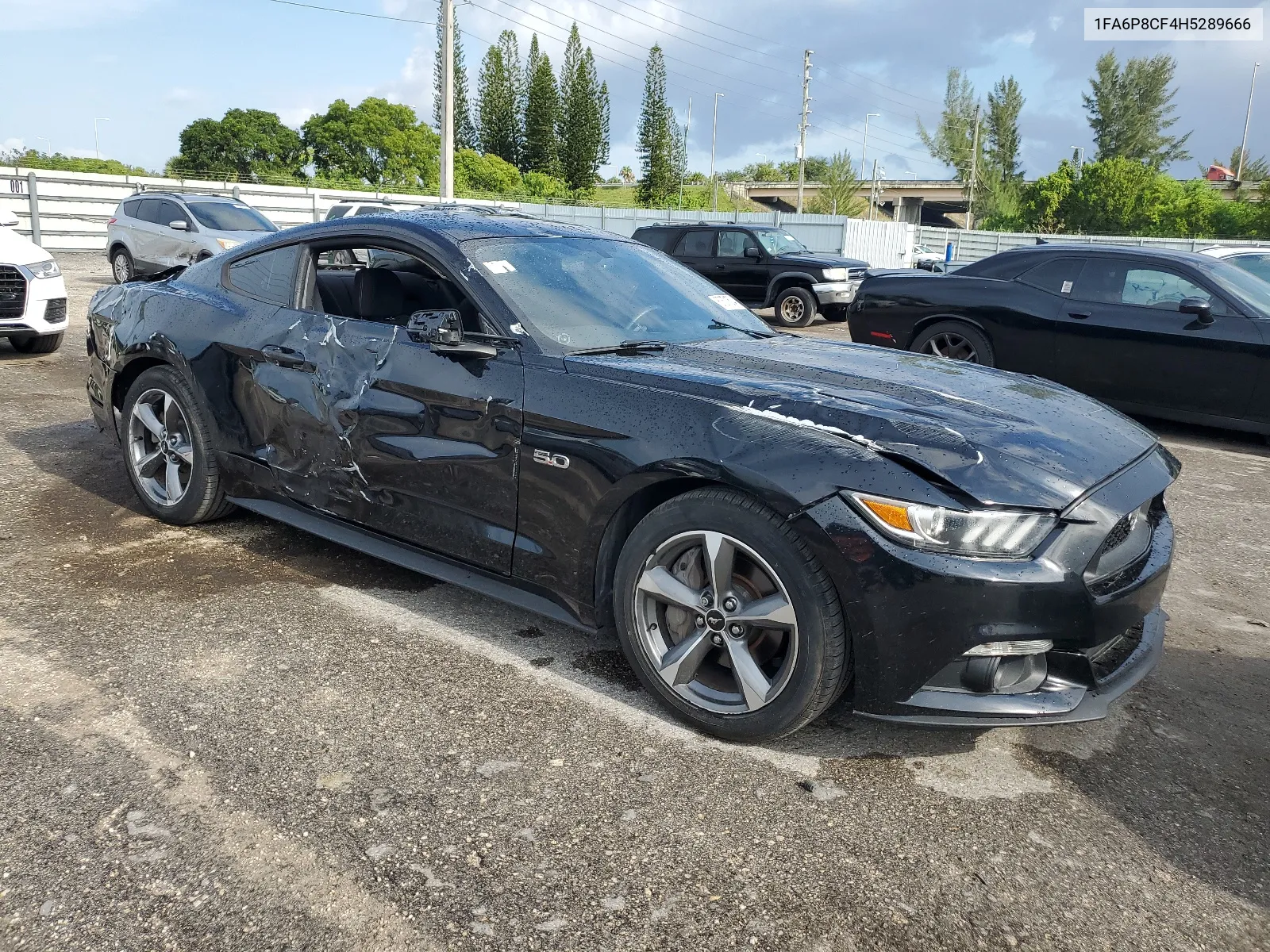 2017 Ford Mustang Gt VIN: 1FA6P8CF4H5289666 Lot: 67671504