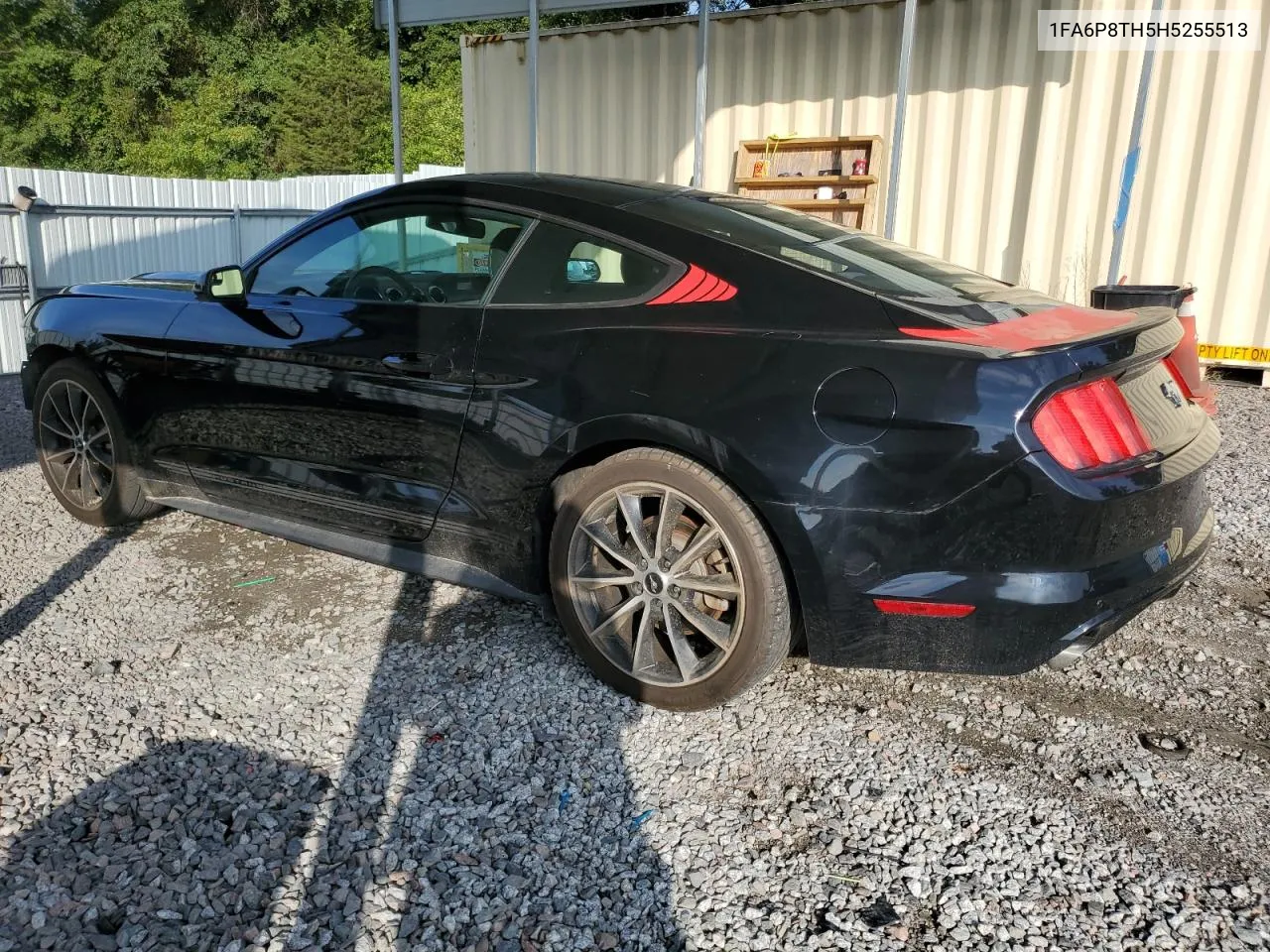 2017 Ford Mustang VIN: 1FA6P8TH5H5255513 Lot: 67699354