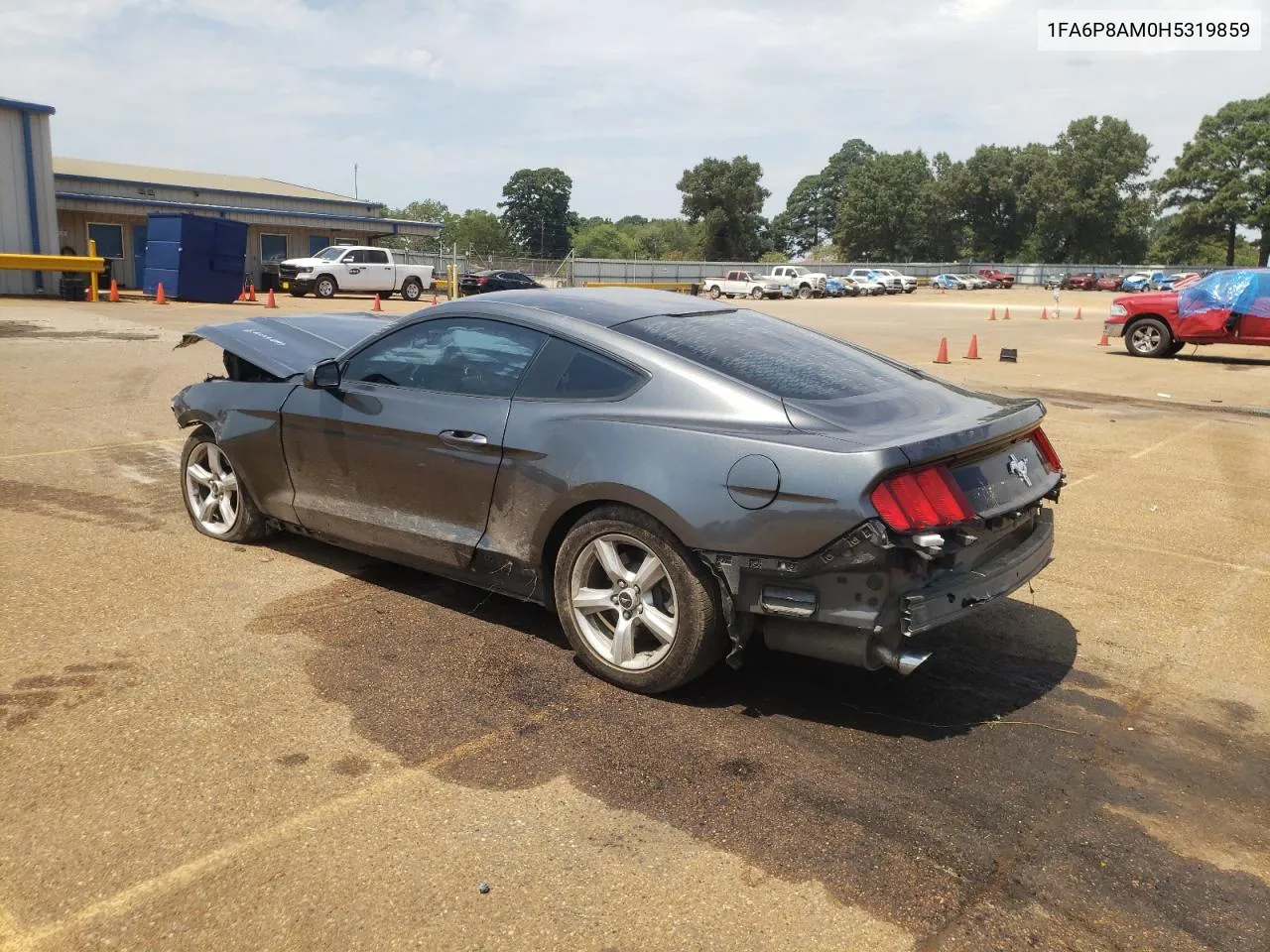 2017 Ford Mustang VIN: 1FA6P8AM0H5319859 Lot: 68329334