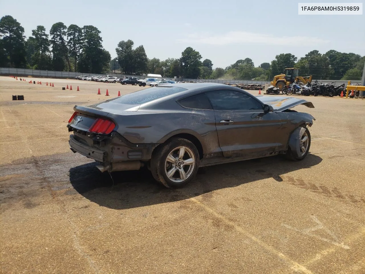 2017 Ford Mustang VIN: 1FA6P8AM0H5319859 Lot: 68329334