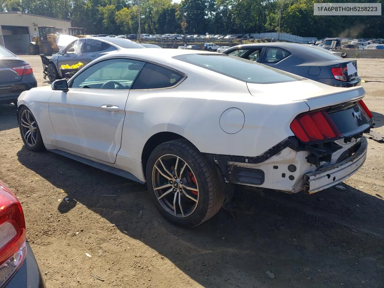 2017 Ford Mustang VIN: 1FA6P8TH0H5258223 Lot: 69198964