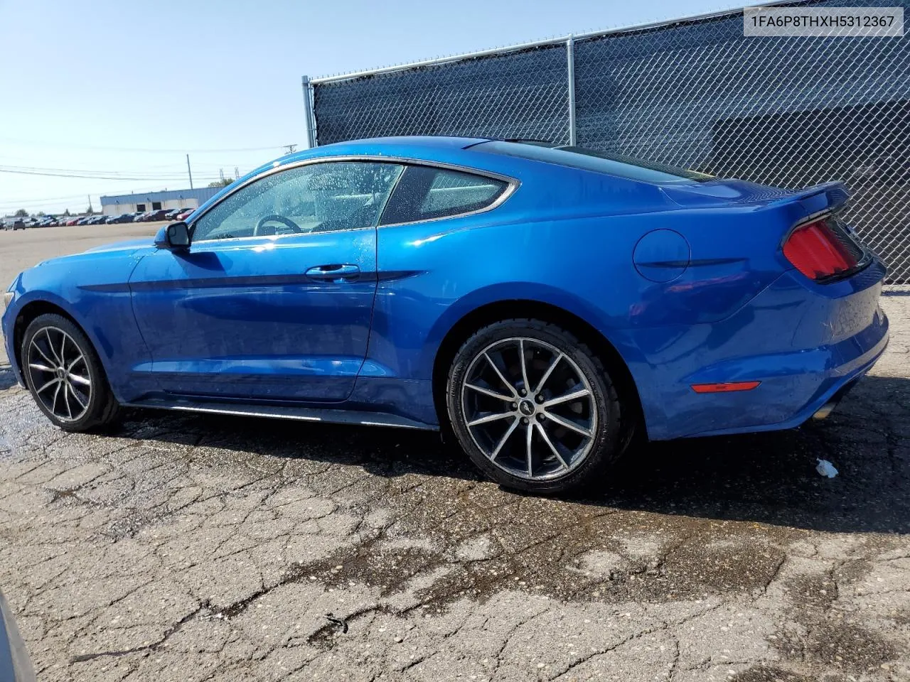 2017 Ford Mustang VIN: 1FA6P8THXH5312367 Lot: 69575934