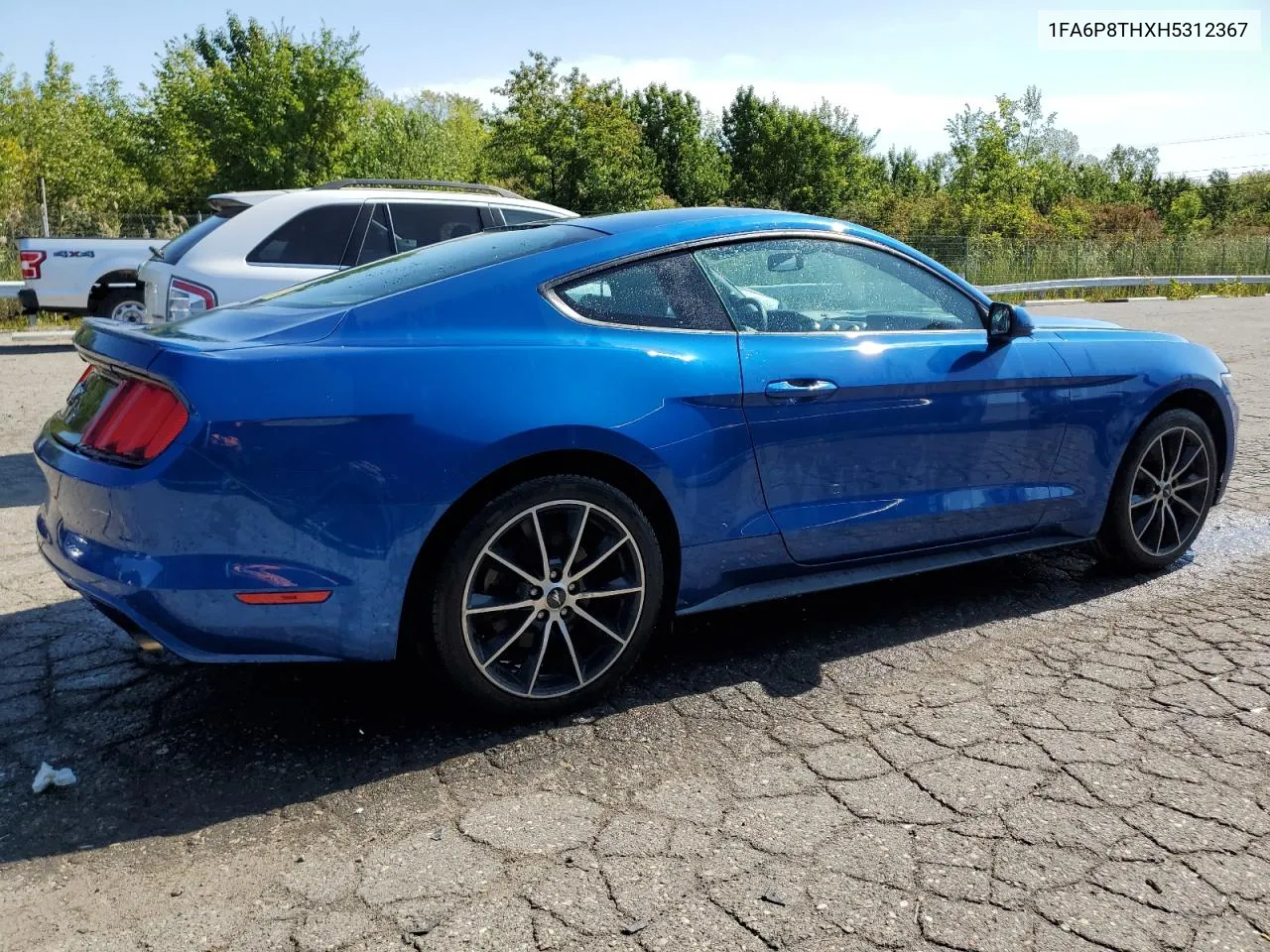 2017 Ford Mustang VIN: 1FA6P8THXH5312367 Lot: 69575934