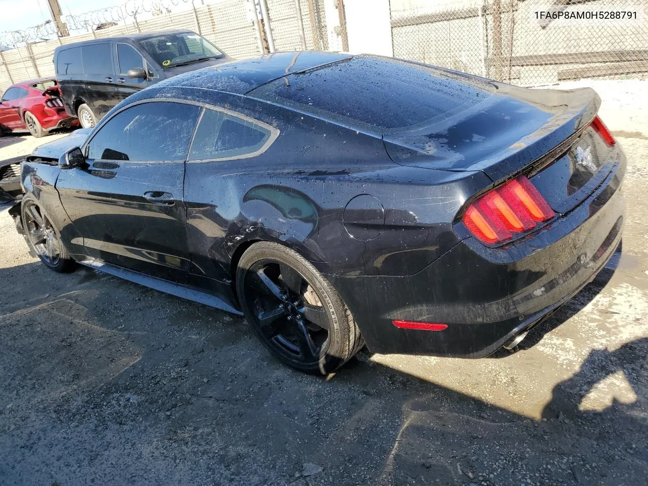 2017 Ford Mustang VIN: 1FA6P8AM0H5288791 Lot: 69898714