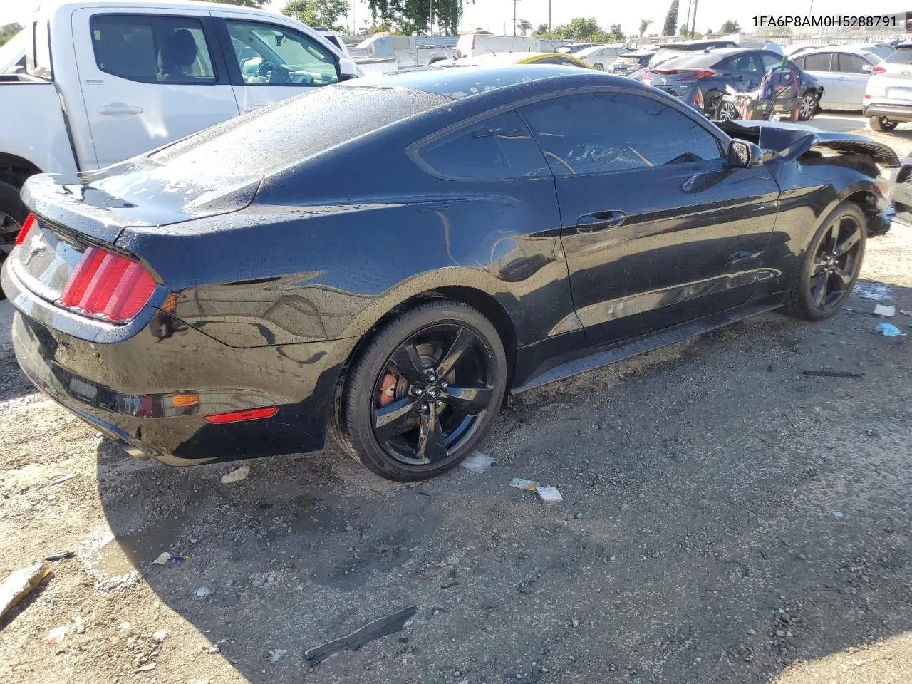 2017 Ford Mustang VIN: 1FA6P8AM0H5288791 Lot: 69898714