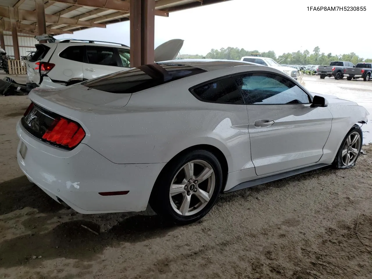 2017 Ford Mustang VIN: 1FA6P8AM7H5230855 Lot: 69927314