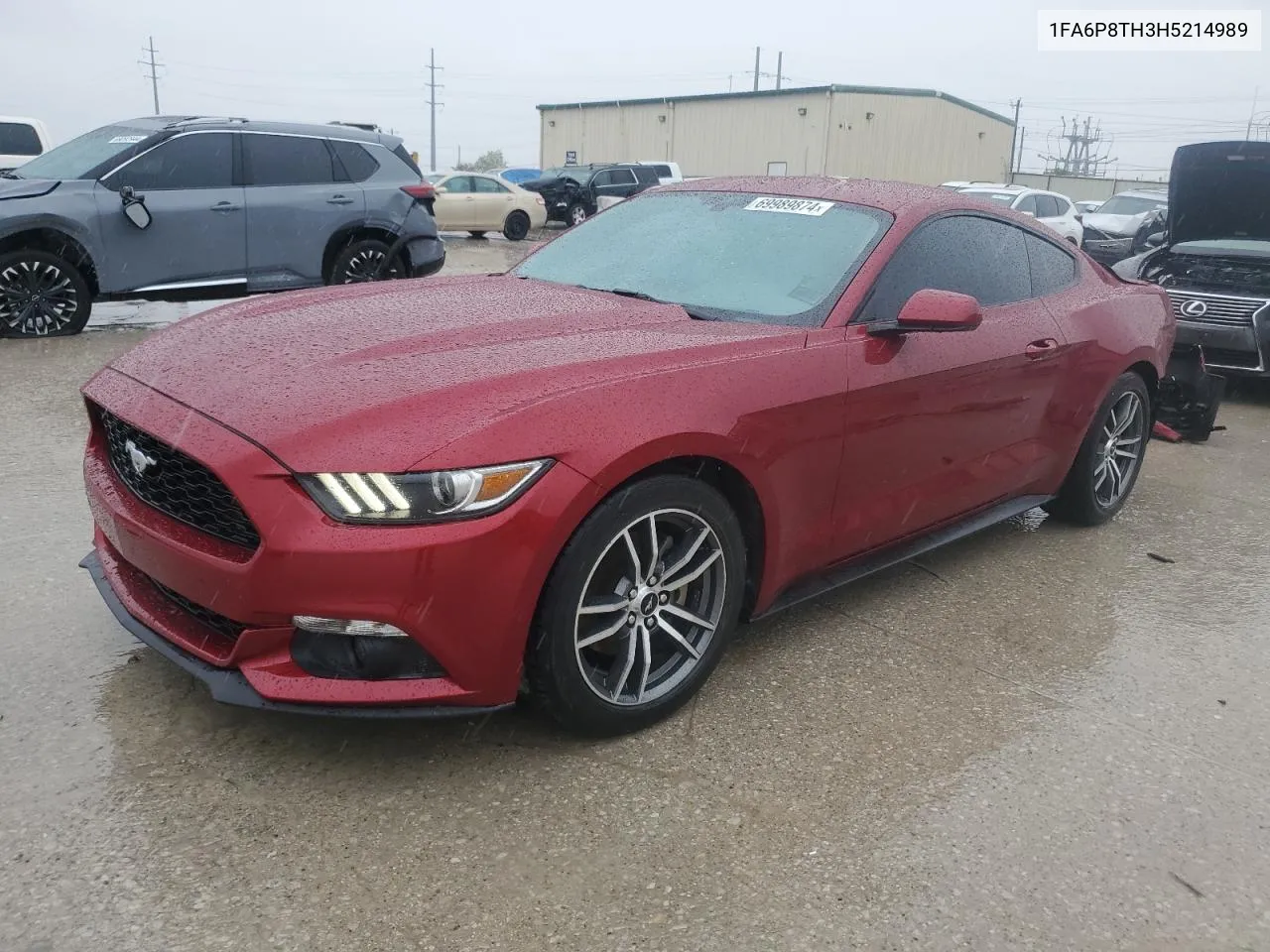 2017 Ford Mustang VIN: 1FA6P8TH3H5214989 Lot: 69989874