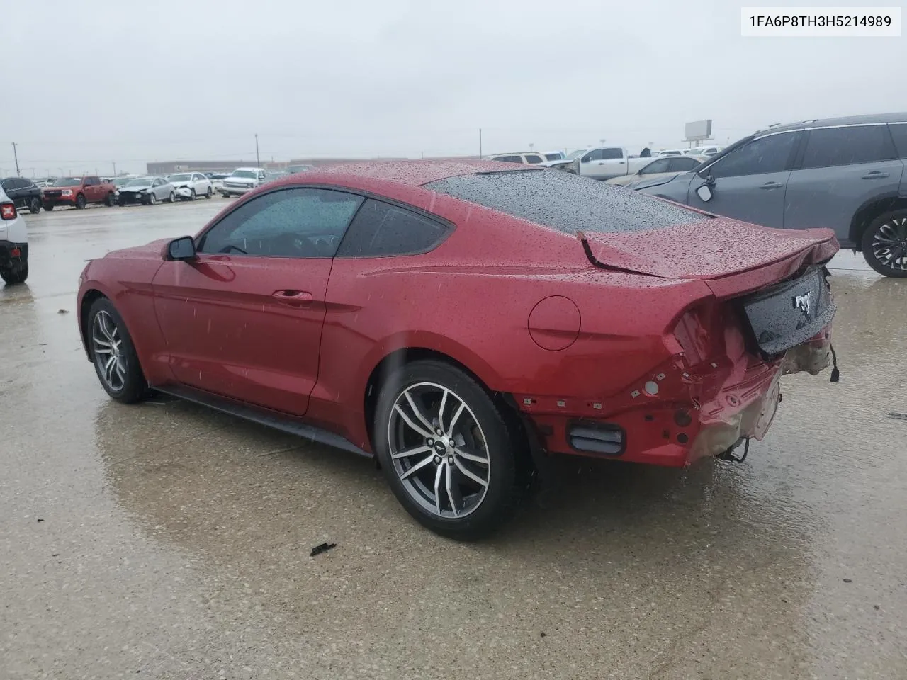 2017 Ford Mustang VIN: 1FA6P8TH3H5214989 Lot: 69989874