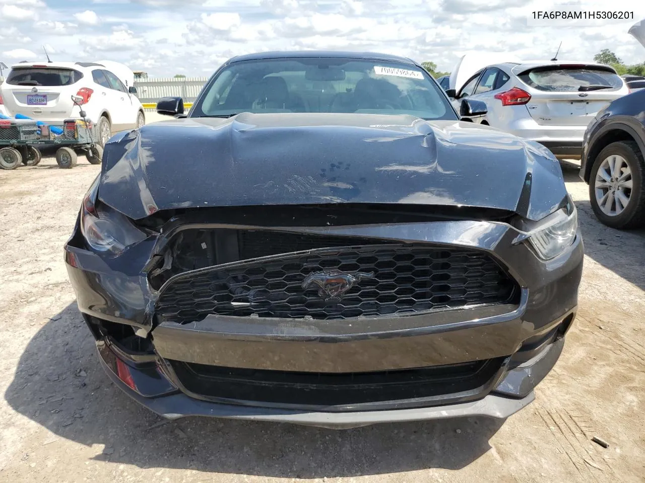 2017 Ford Mustang VIN: 1FA6P8AM1H5306201 Lot: 70059864