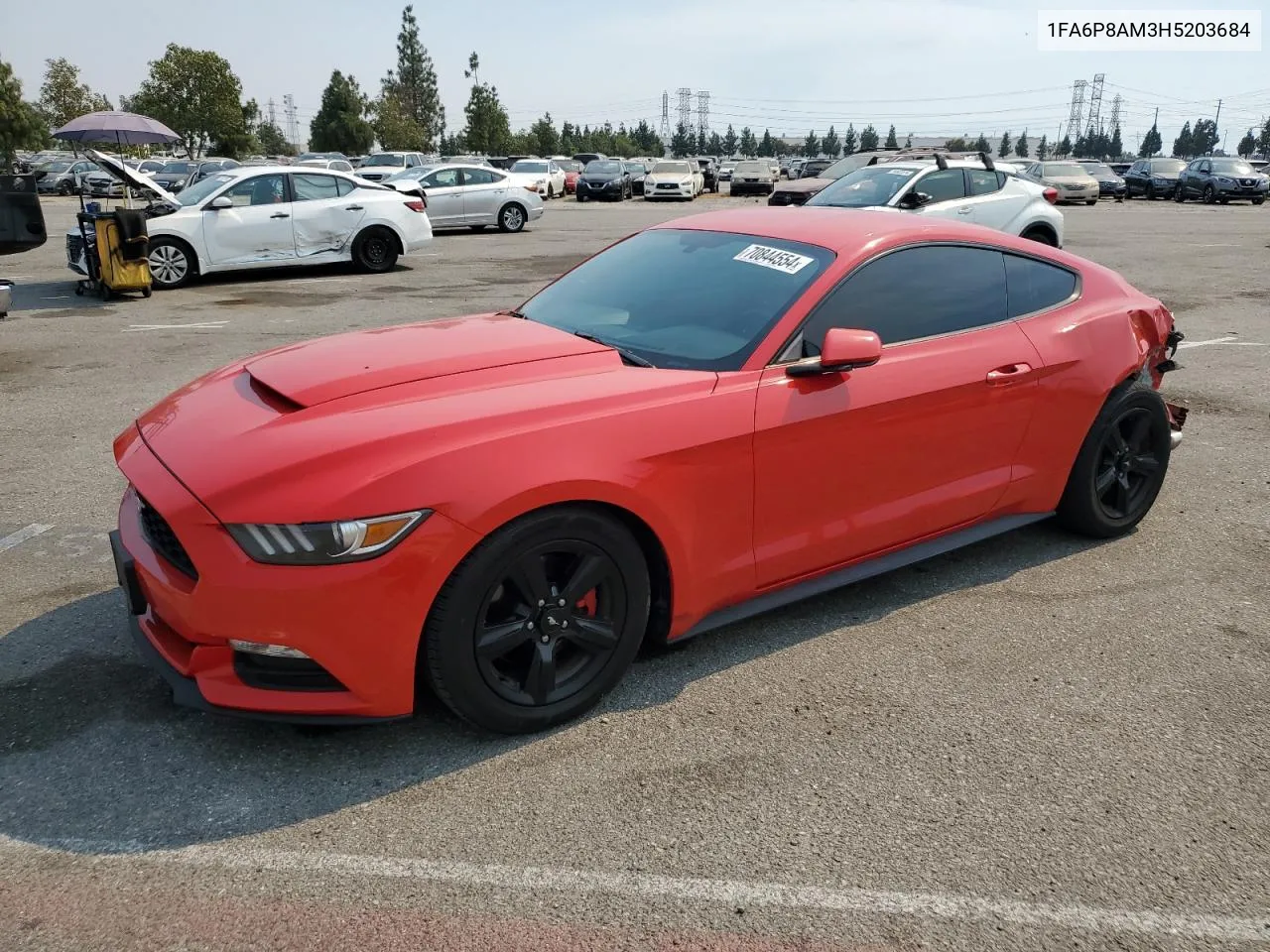 2017 Ford Mustang VIN: 1FA6P8AM3H5203684 Lot: 70844554