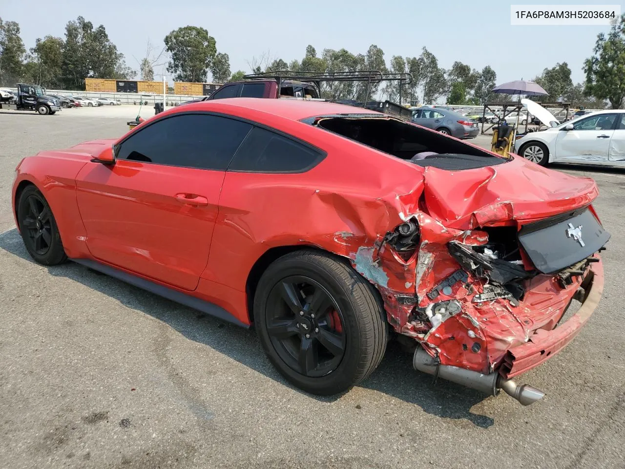 2017 Ford Mustang VIN: 1FA6P8AM3H5203684 Lot: 70844554