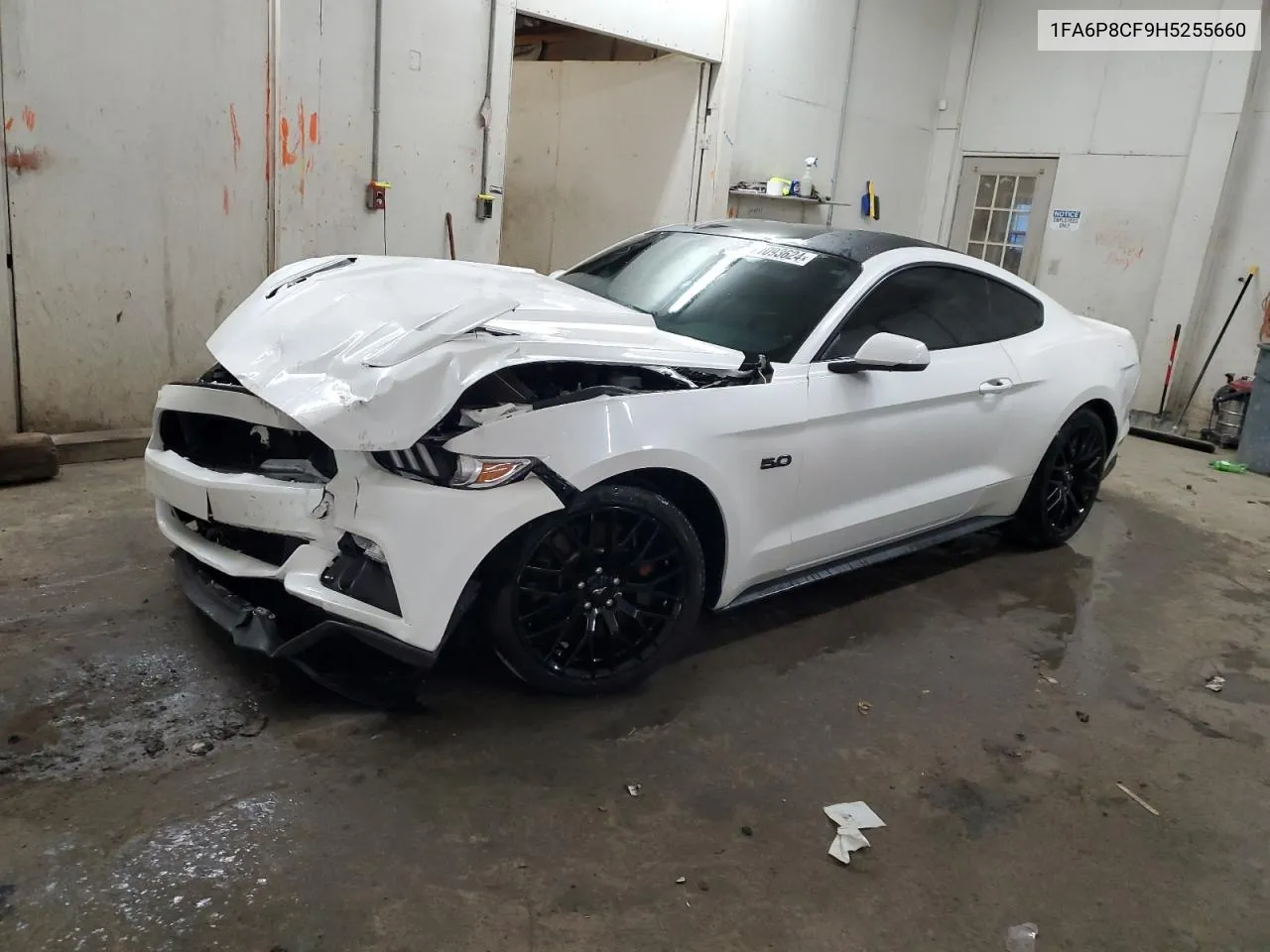 2017 Ford Mustang Gt VIN: 1FA6P8CF9H5255660 Lot: 71093624