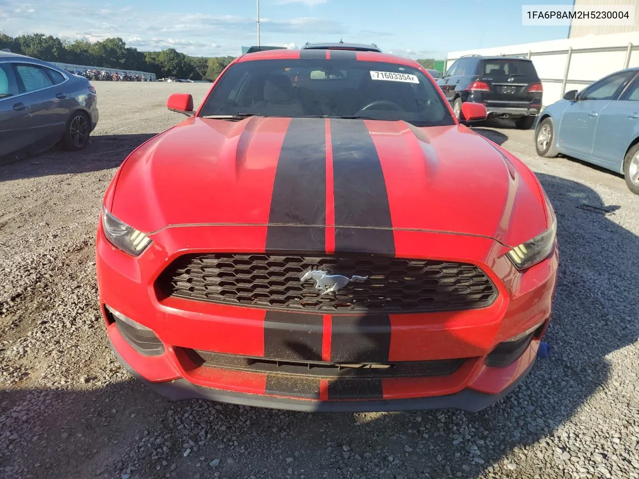 2017 Ford Mustang VIN: 1FA6P8AM2H5230004 Lot: 71603354