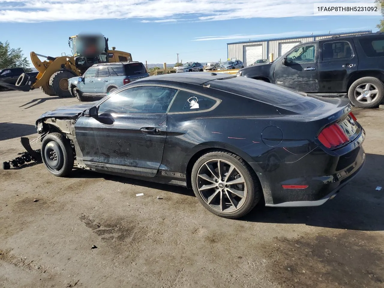 2017 Ford Mustang VIN: 1FA6P8TH8H5231092 Lot: 71969354