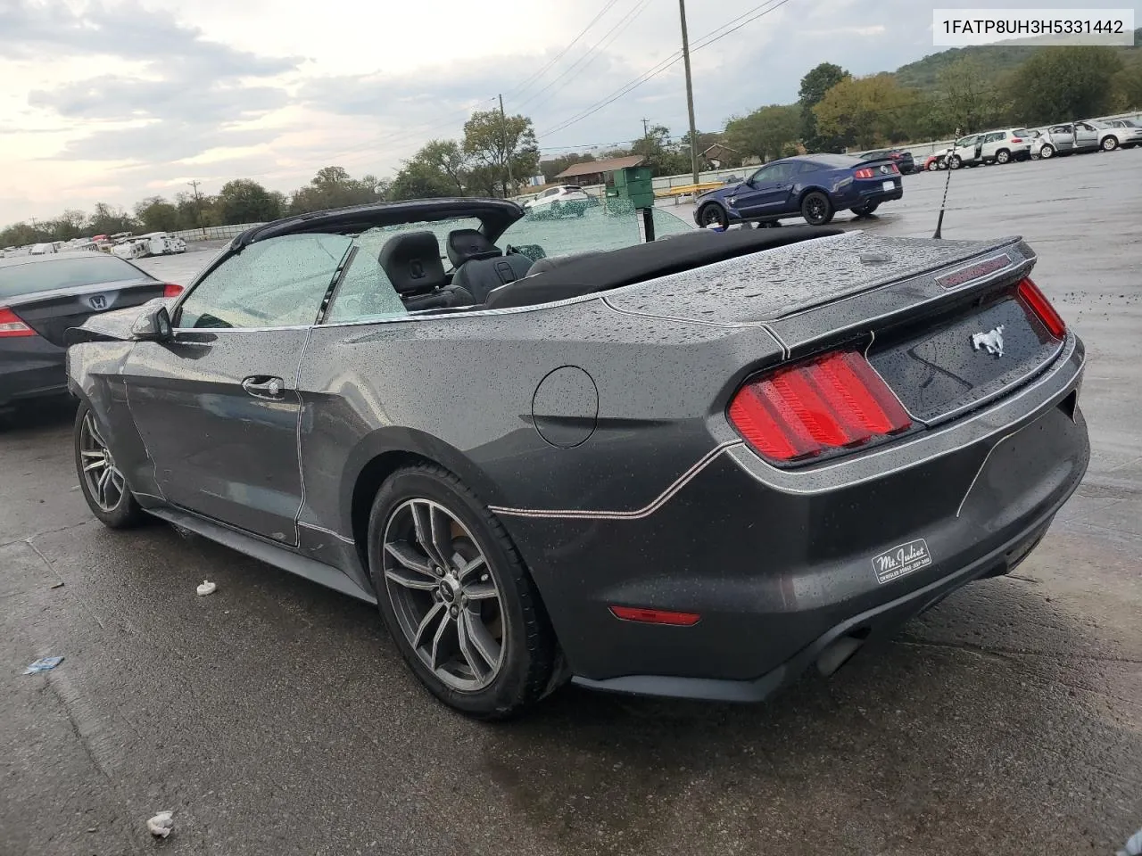 2017 Ford Mustang VIN: 1FATP8UH3H5331442 Lot: 73025884