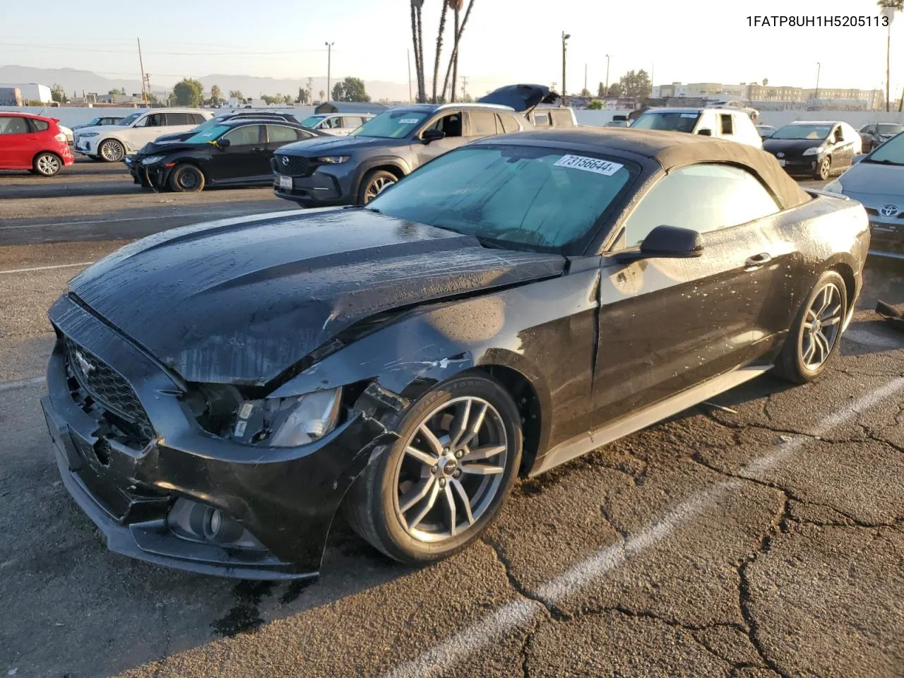 2017 Ford Mustang VIN: 1FATP8UH1H5205113 Lot: 73156644