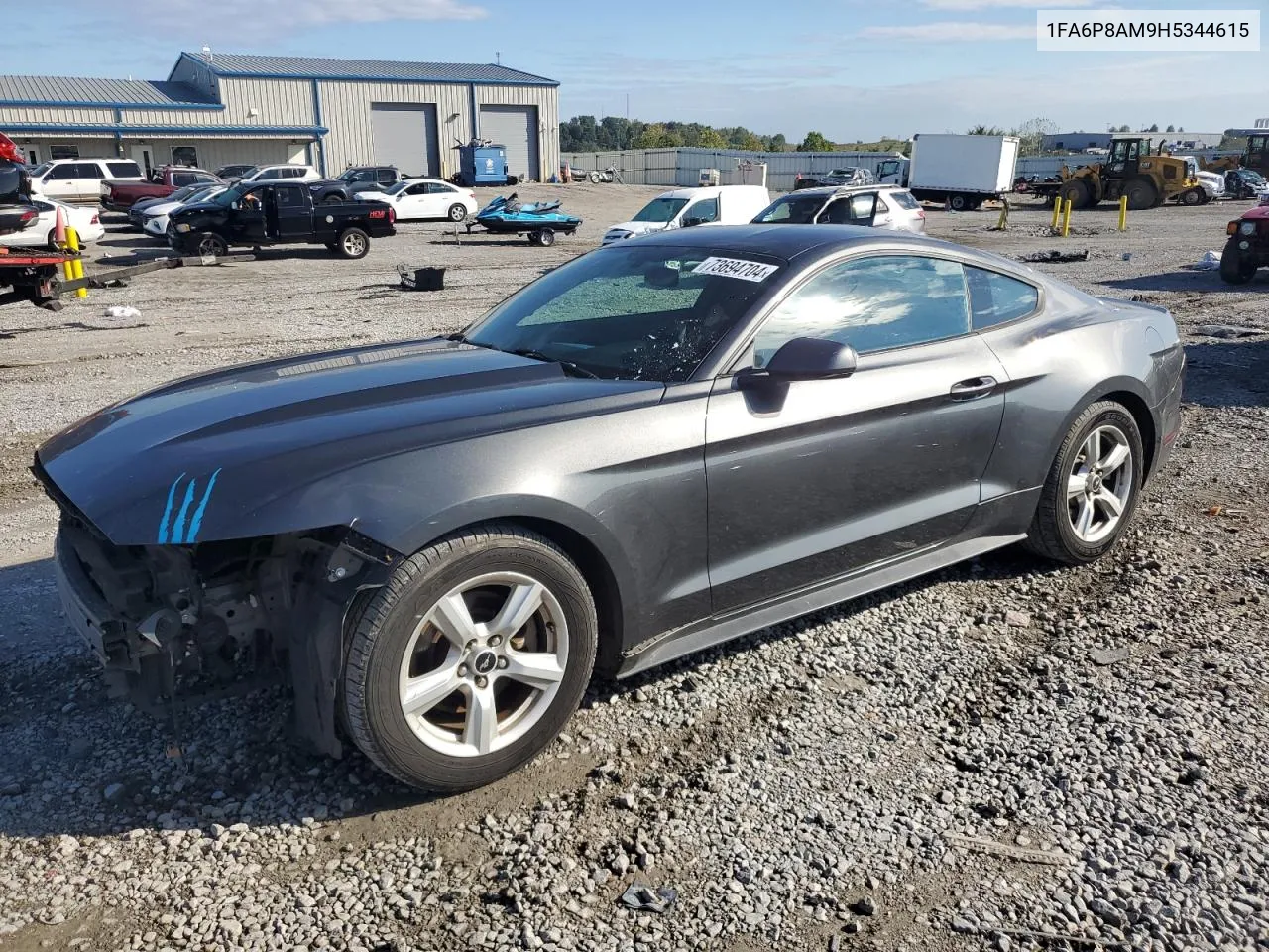 2017 Ford Mustang VIN: 1FA6P8AM9H5344615 Lot: 73694704