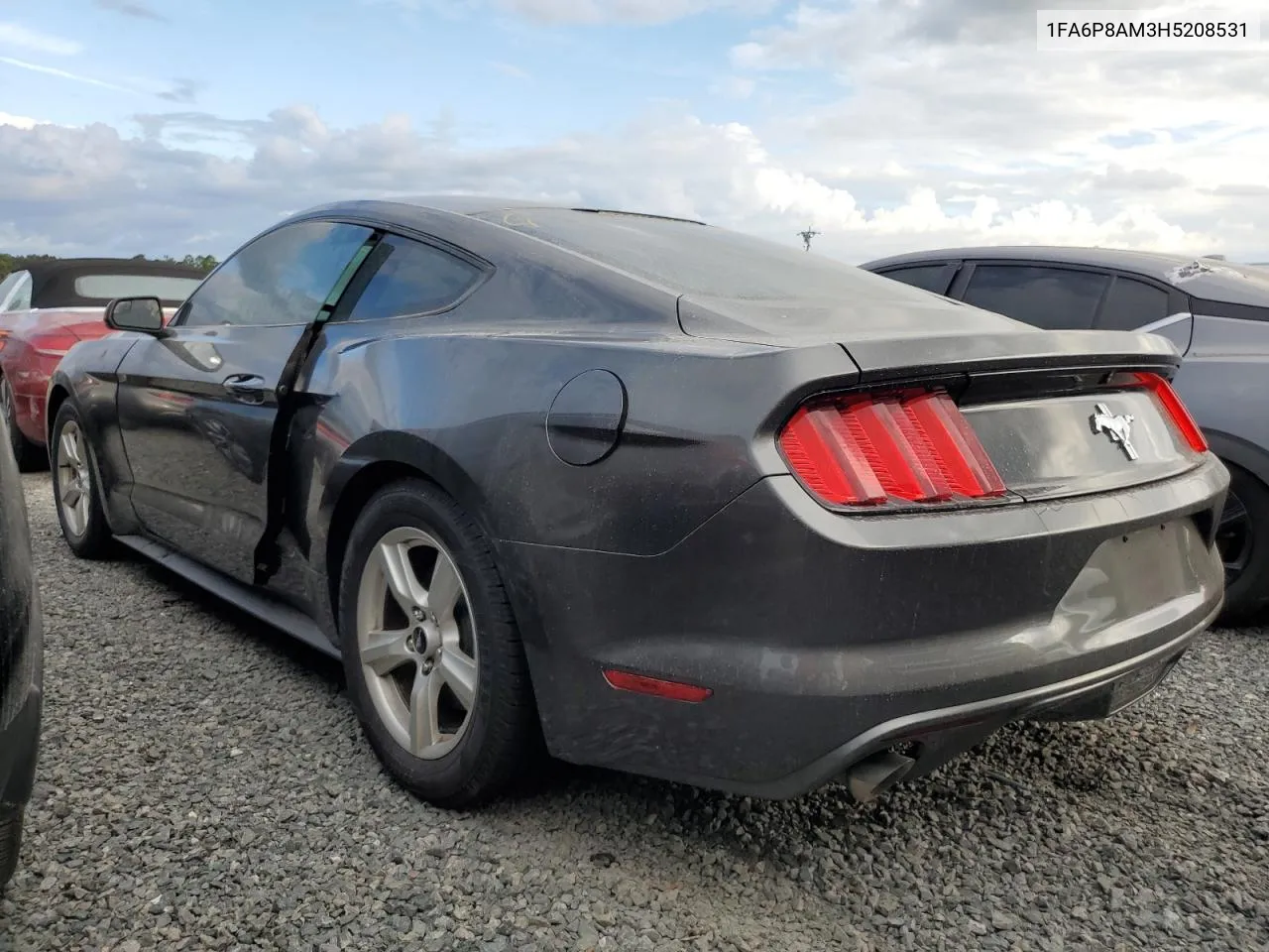 2017 Ford Mustang VIN: 1FA6P8AM3H5208531 Lot: 74316824