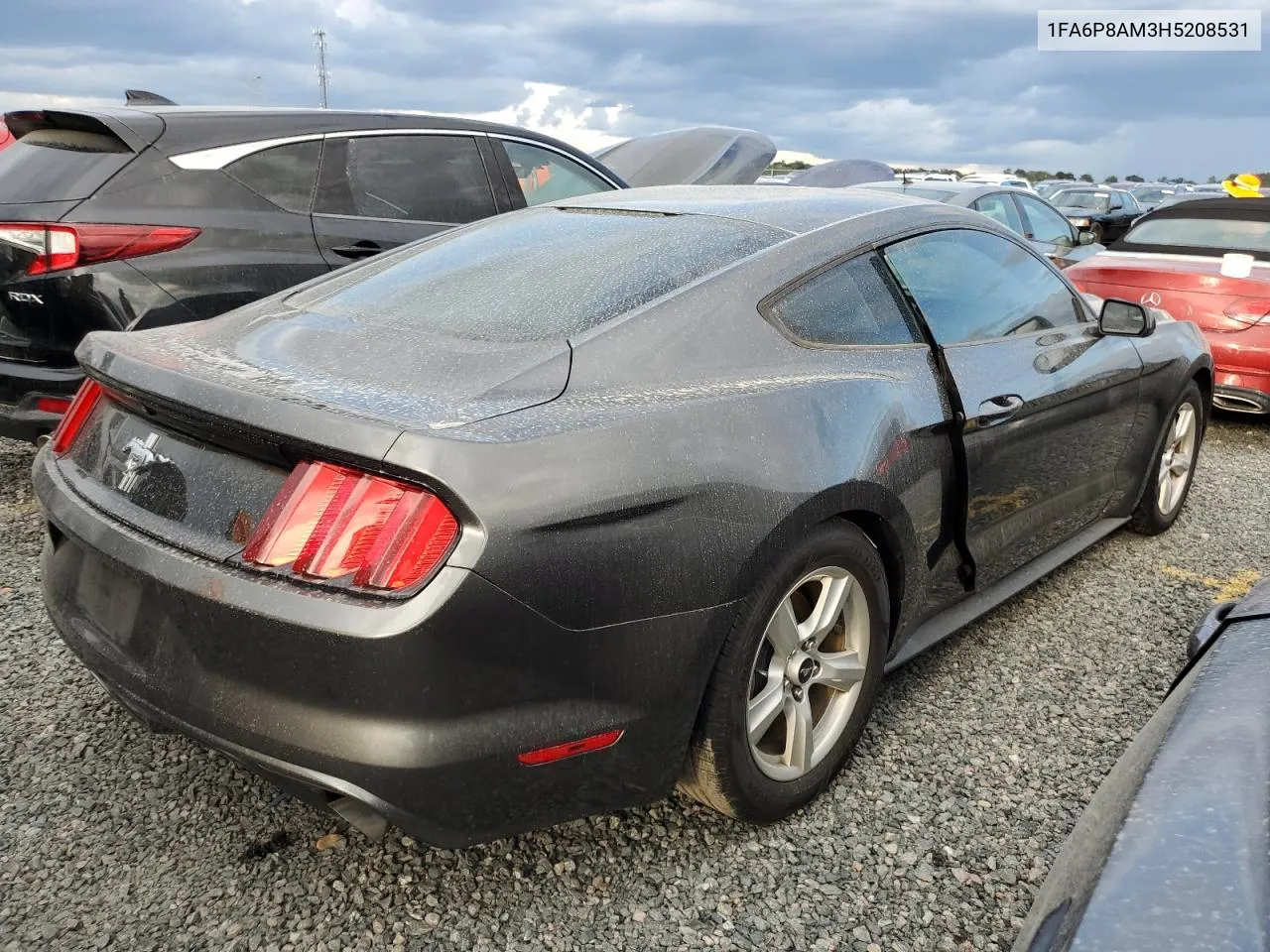 2017 Ford Mustang VIN: 1FA6P8AM3H5208531 Lot: 74316824