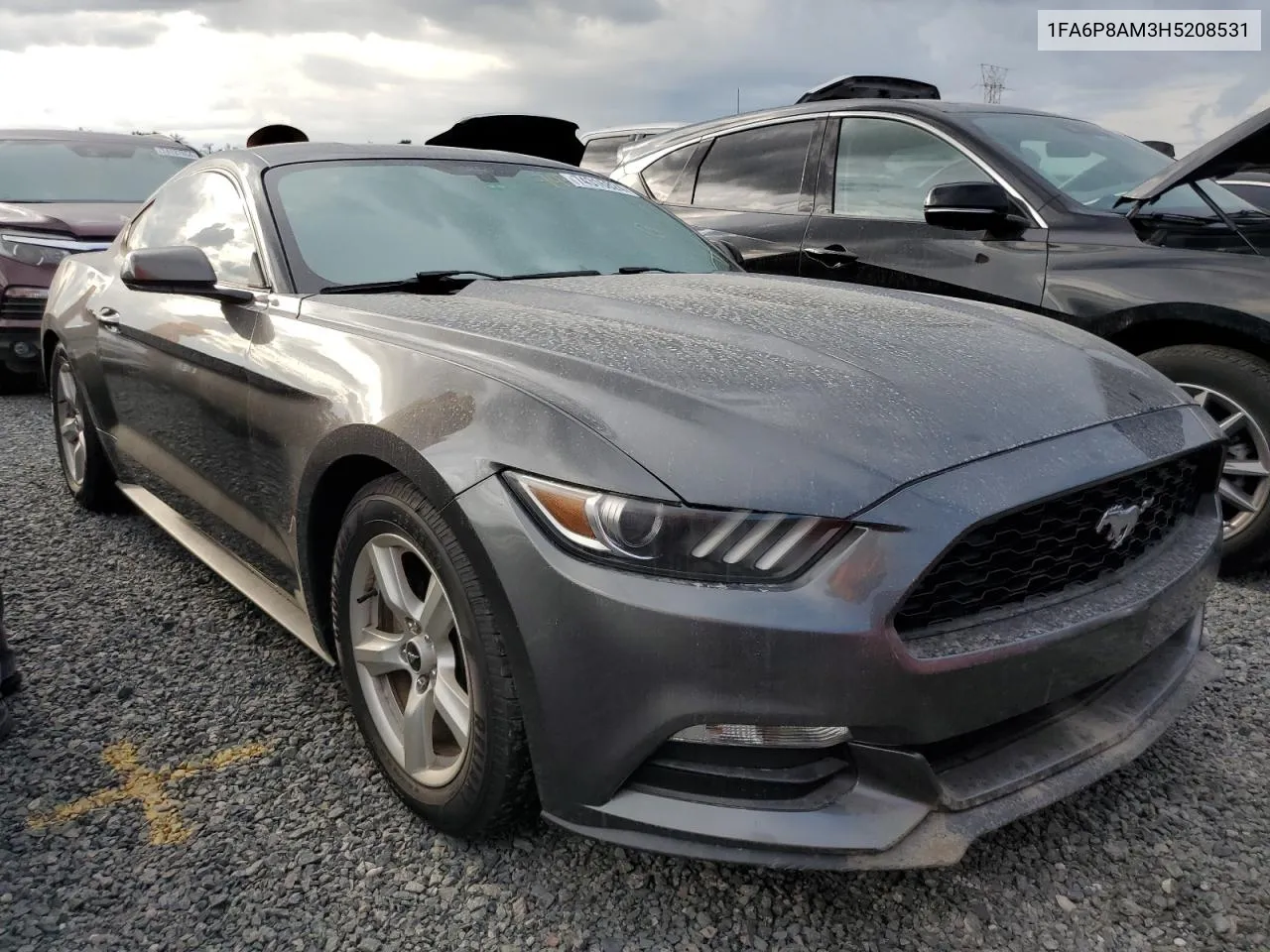 2017 Ford Mustang VIN: 1FA6P8AM3H5208531 Lot: 74316824