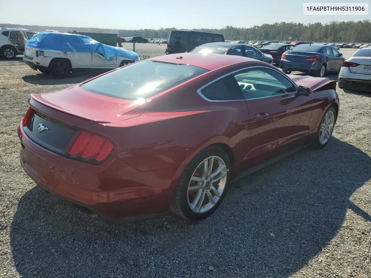 2017 Ford Mustang VIN: 1FA6P8TH9H5311906 Lot: 74767374