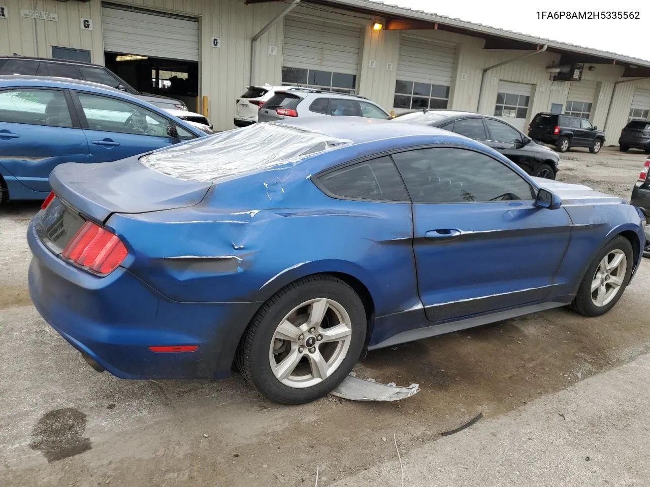 2017 Ford Mustang VIN: 1FA6P8AM2H5335562 Lot: 74815624