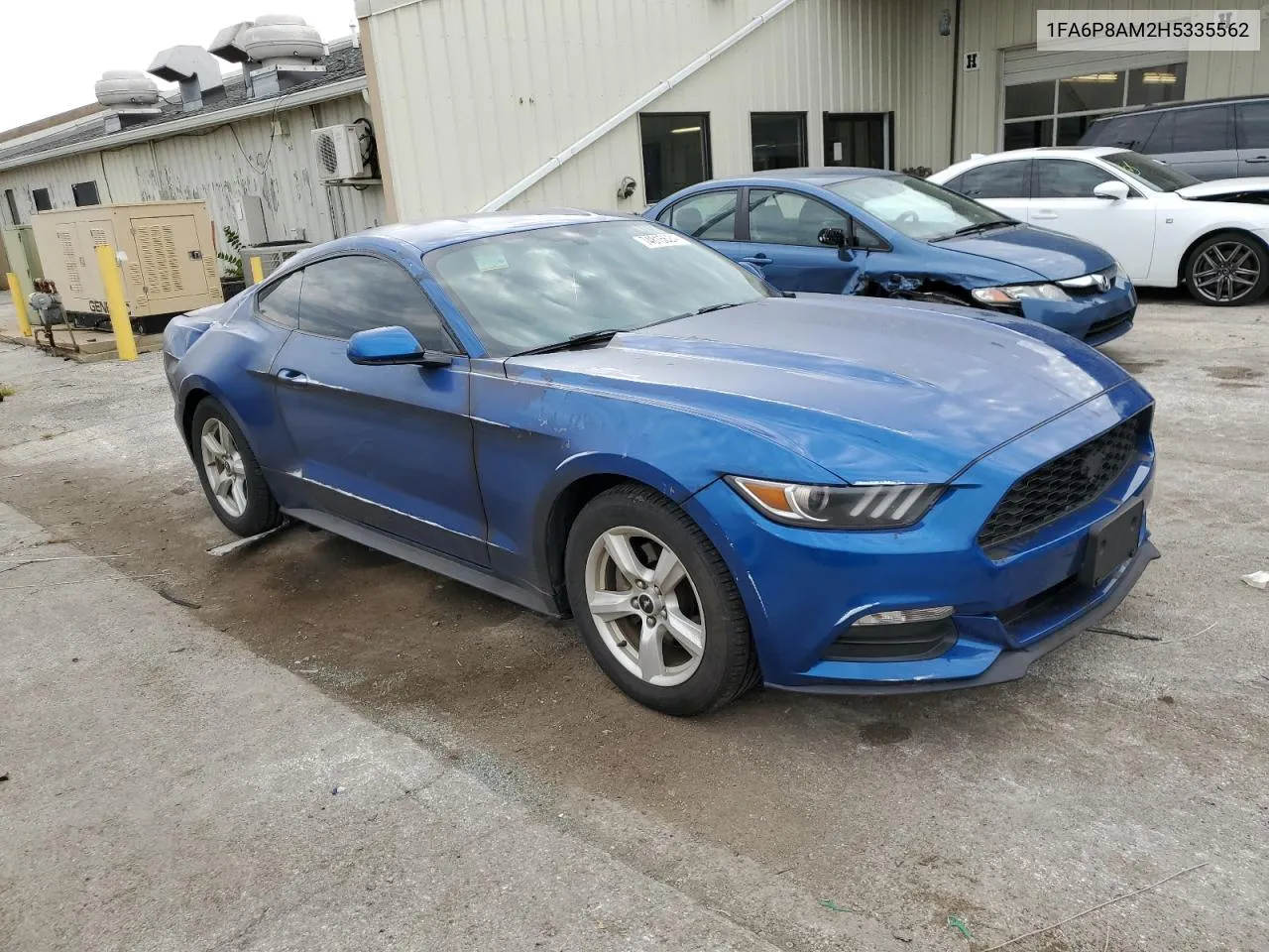 2017 Ford Mustang VIN: 1FA6P8AM2H5335562 Lot: 74815624