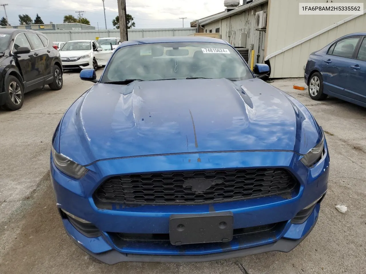 2017 Ford Mustang VIN: 1FA6P8AM2H5335562 Lot: 74815624