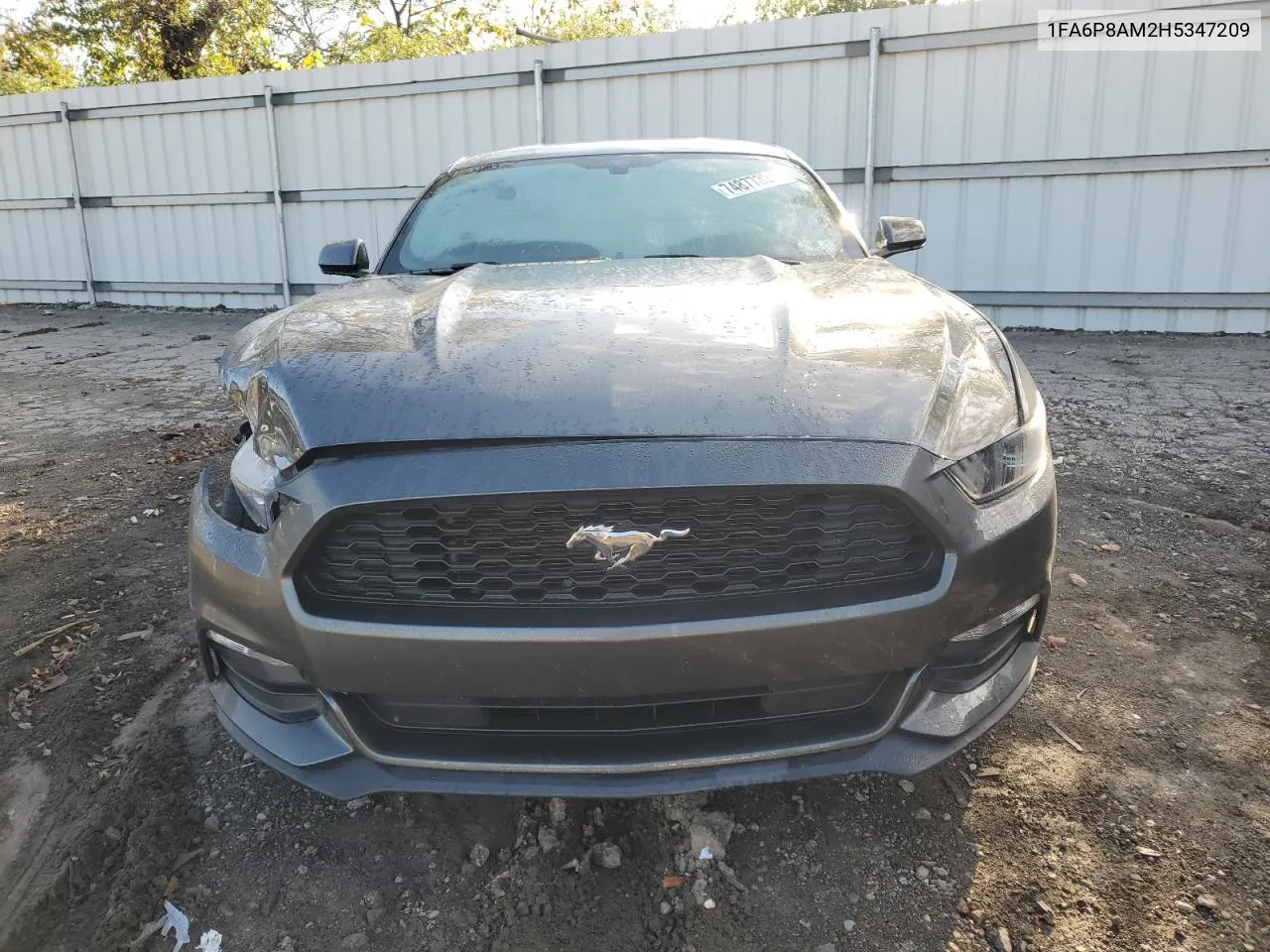 2017 Ford Mustang VIN: 1FA6P8AM2H5347209 Lot: 74877324