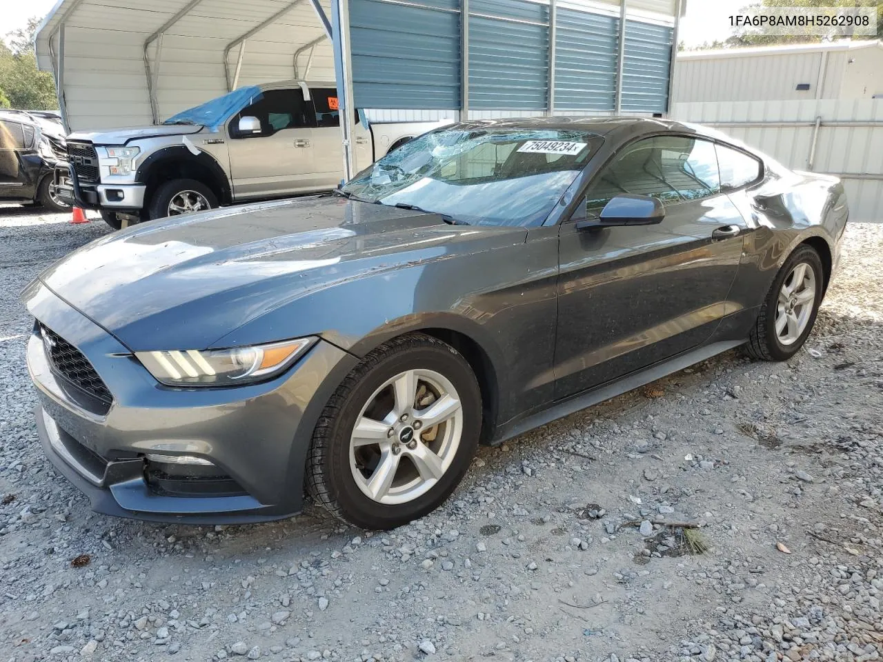 2017 Ford Mustang VIN: 1FA6P8AM8H5262908 Lot: 75049234