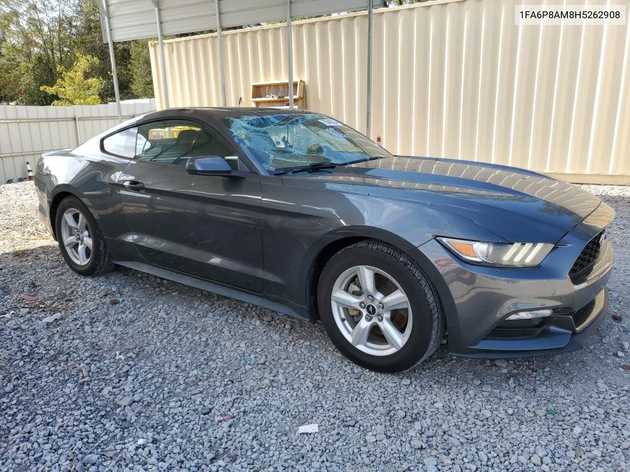 2017 Ford Mustang VIN: 1FA6P8AM8H5262908 Lot: 75049234