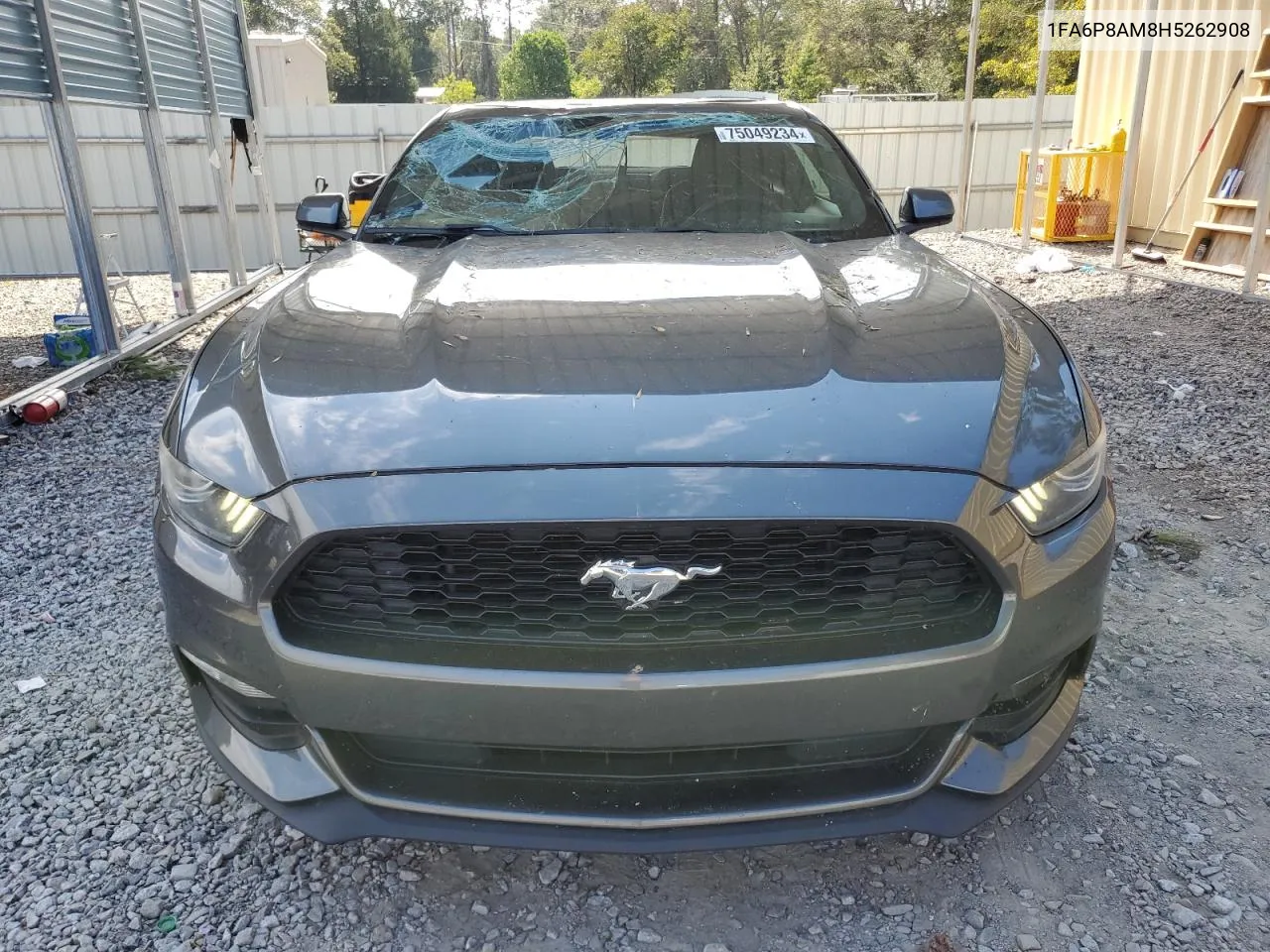 2017 Ford Mustang VIN: 1FA6P8AM8H5262908 Lot: 75049234