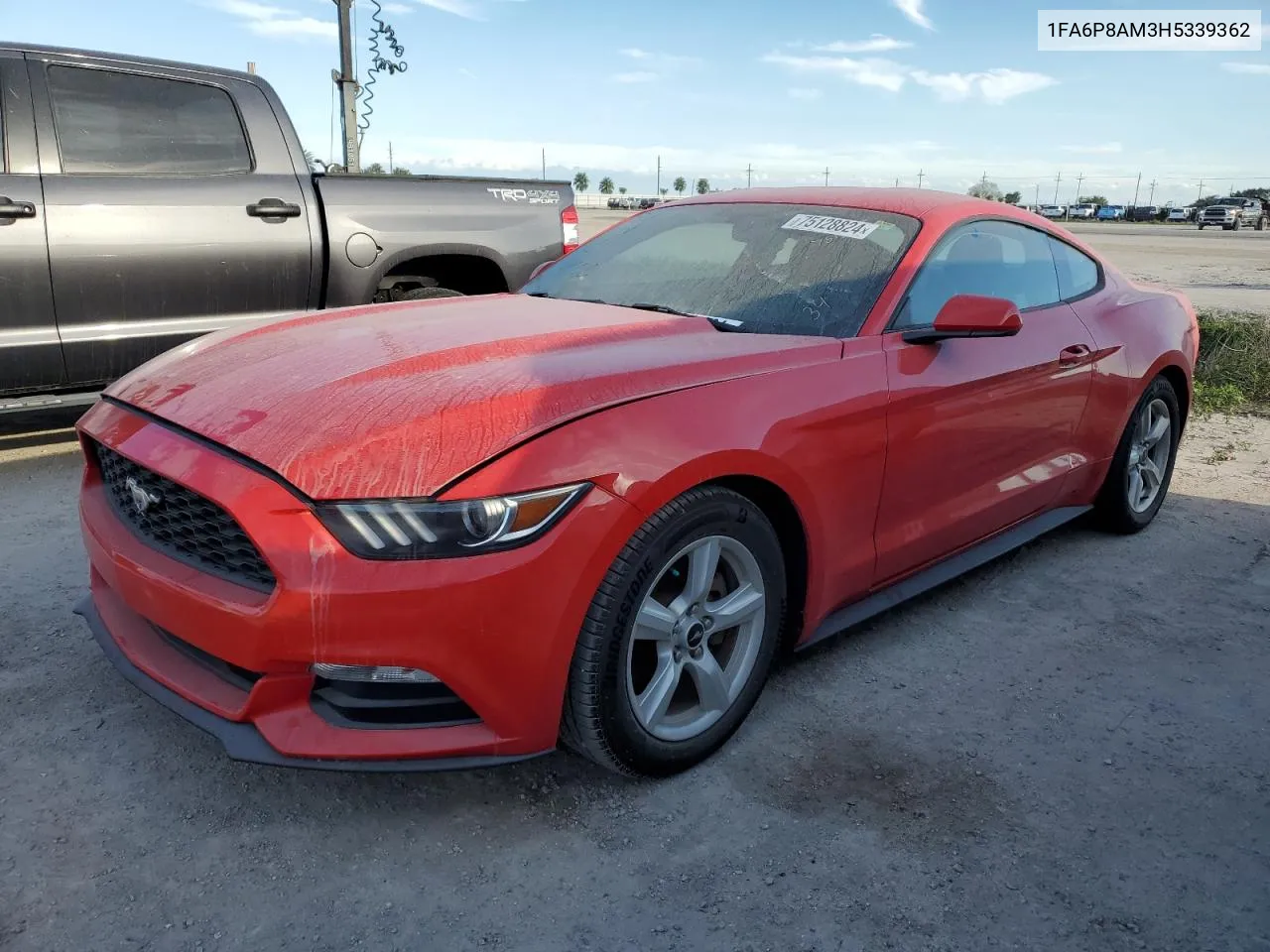 2017 Ford Mustang VIN: 1FA6P8AM3H5339362 Lot: 75128824