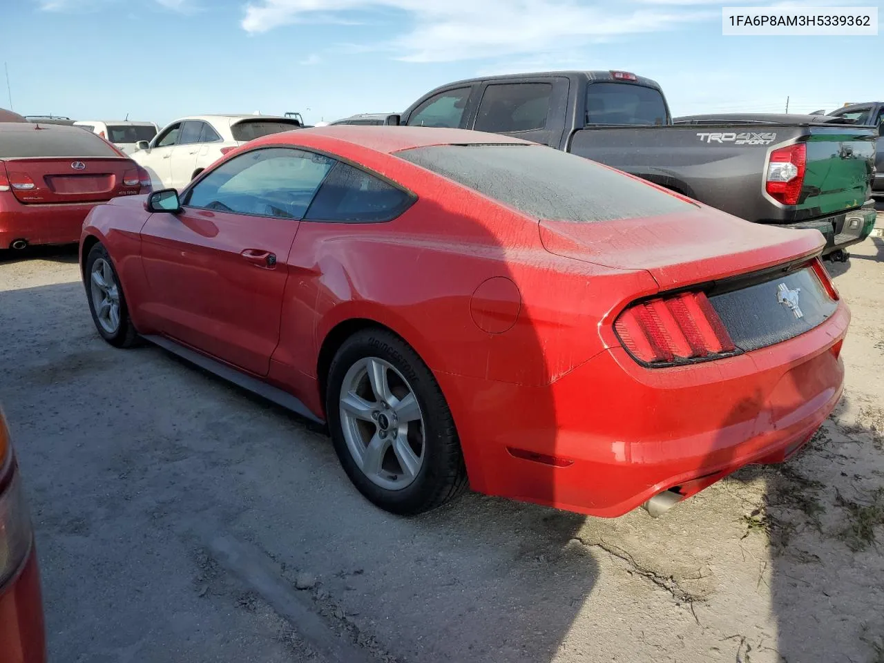 2017 Ford Mustang VIN: 1FA6P8AM3H5339362 Lot: 75128824