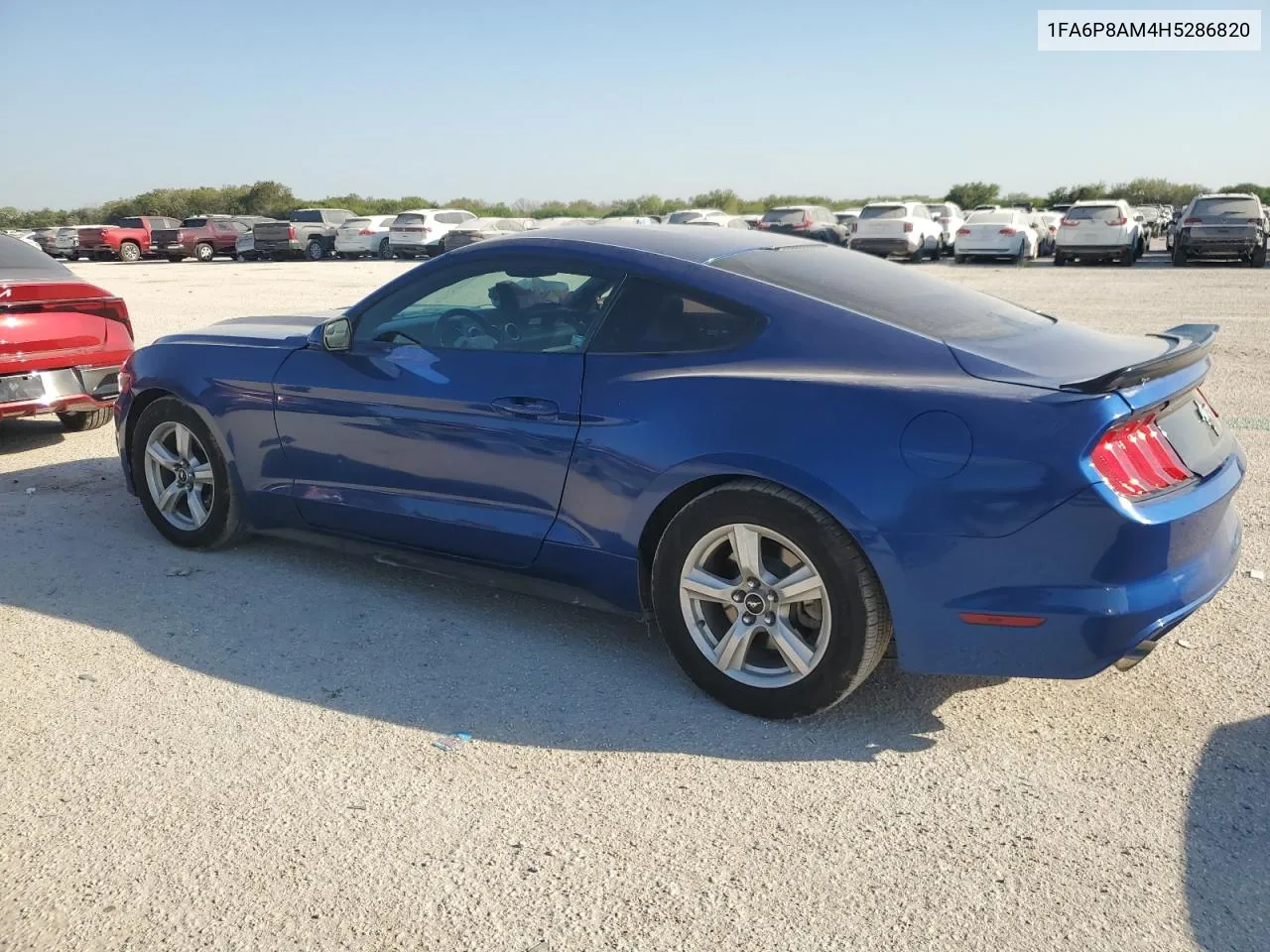 2017 Ford Mustang VIN: 1FA6P8AM4H5286820 Lot: 75486414