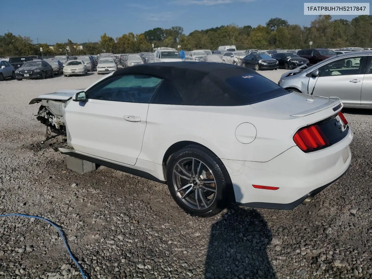 2017 Ford Mustang VIN: 1FATP8UH7H5217847 Lot: 75916994