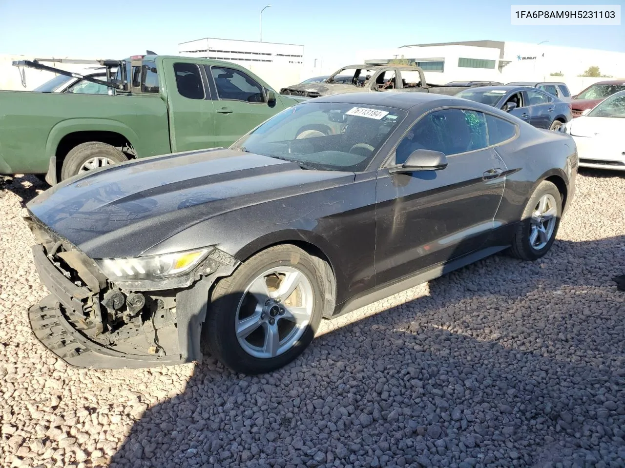 2017 Ford Mustang VIN: 1FA6P8AM9H5231103 Lot: 76113184