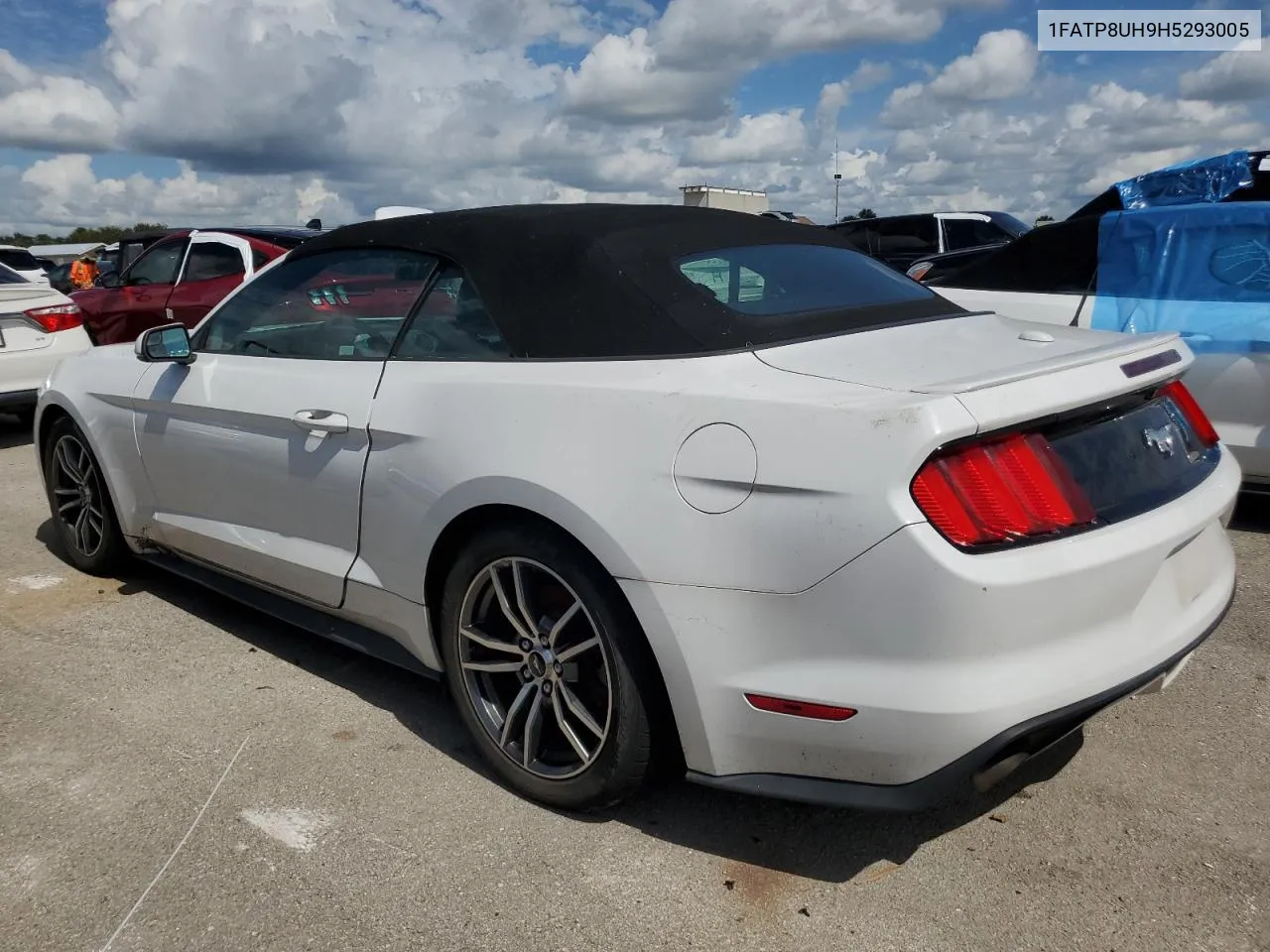 2017 Ford Mustang VIN: 1FATP8UH9H5293005 Lot: 76122404