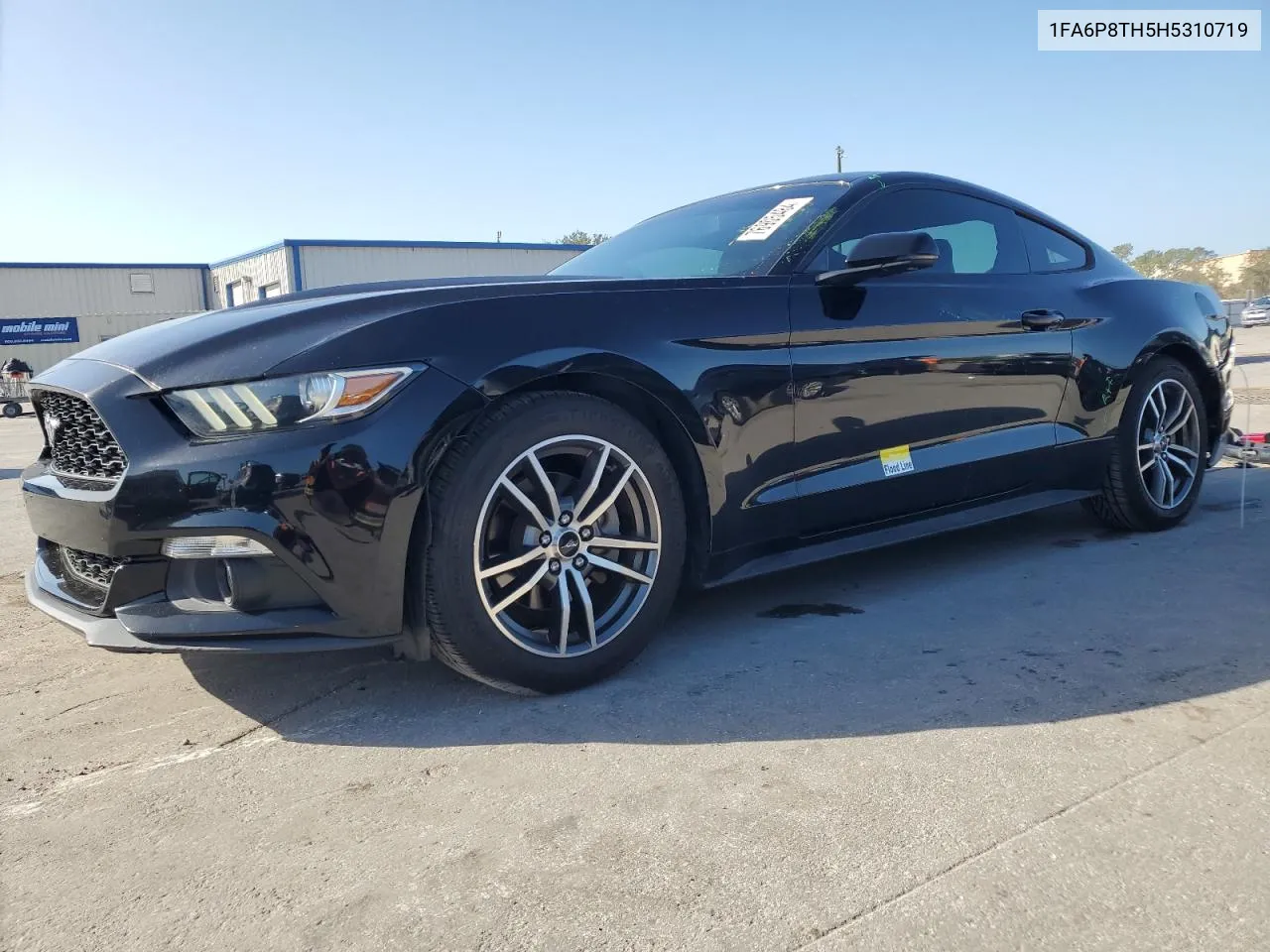 2017 Ford Mustang VIN: 1FA6P8TH5H5310719 Lot: 76905484