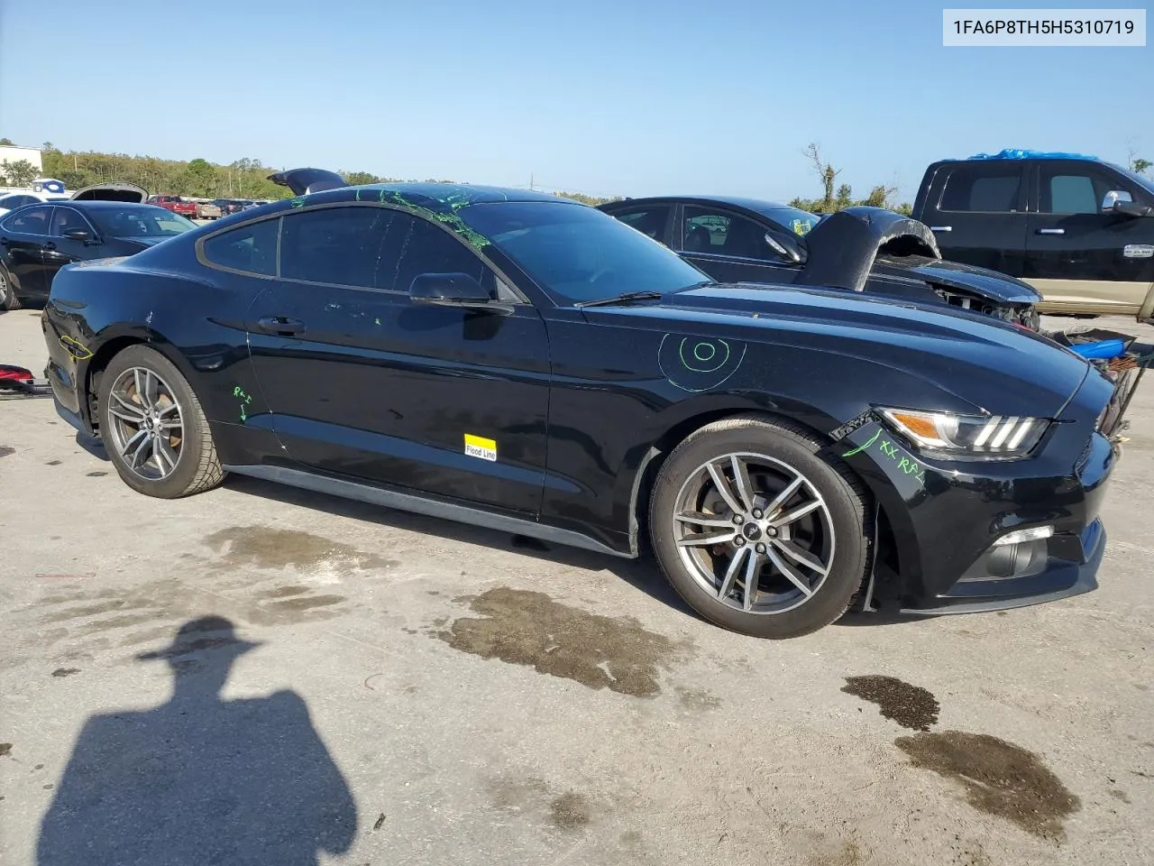 2017 Ford Mustang VIN: 1FA6P8TH5H5310719 Lot: 76905484