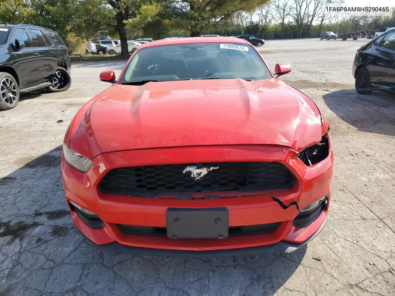 2017 Ford Mustang VIN: 1FA6P8AM8H5290465 Lot: 77099874