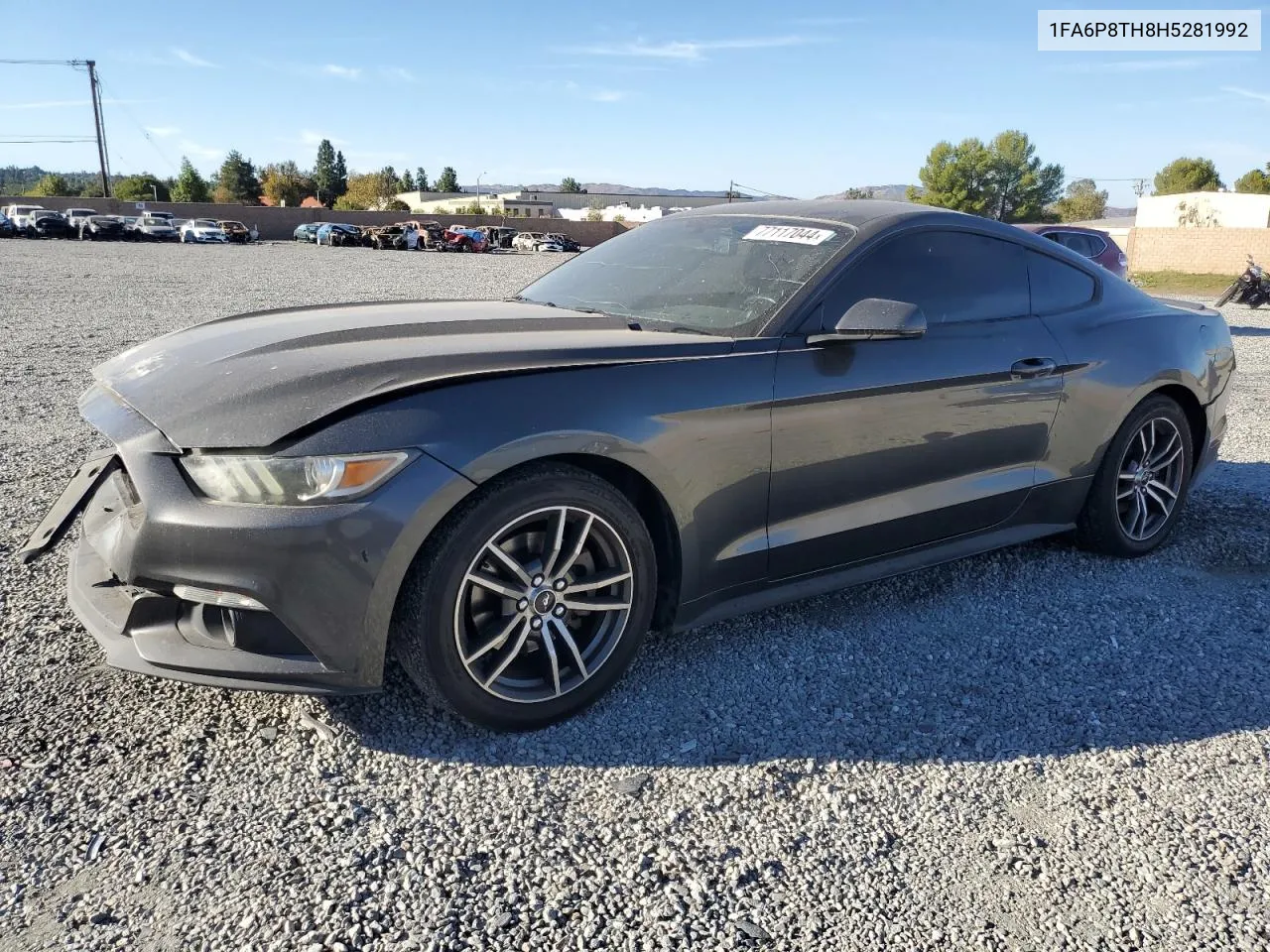 2017 Ford Mustang VIN: 1FA6P8TH8H5281992 Lot: 77117044