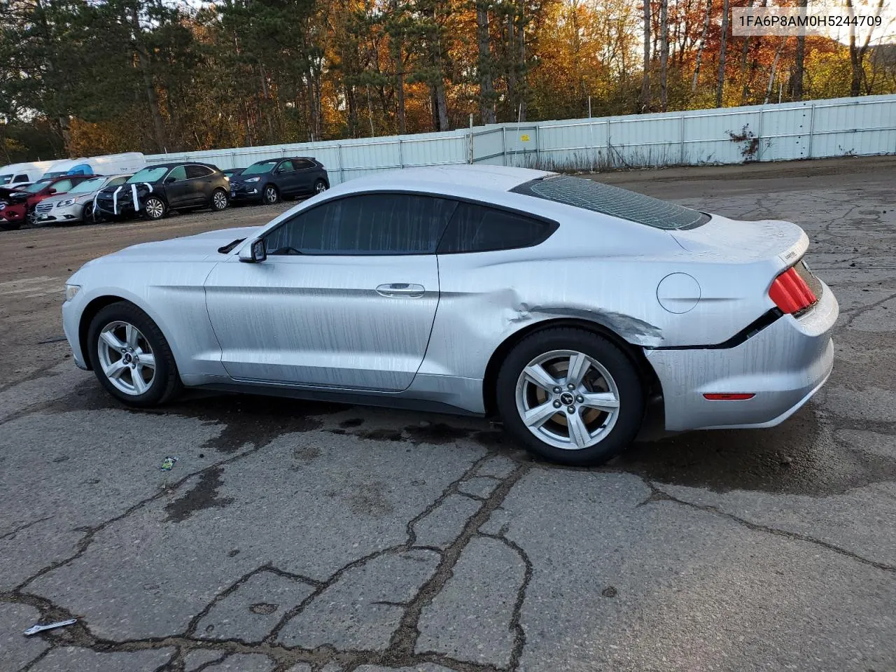 2017 Ford Mustang VIN: 1FA6P8AM0H5244709 Lot: 77610974